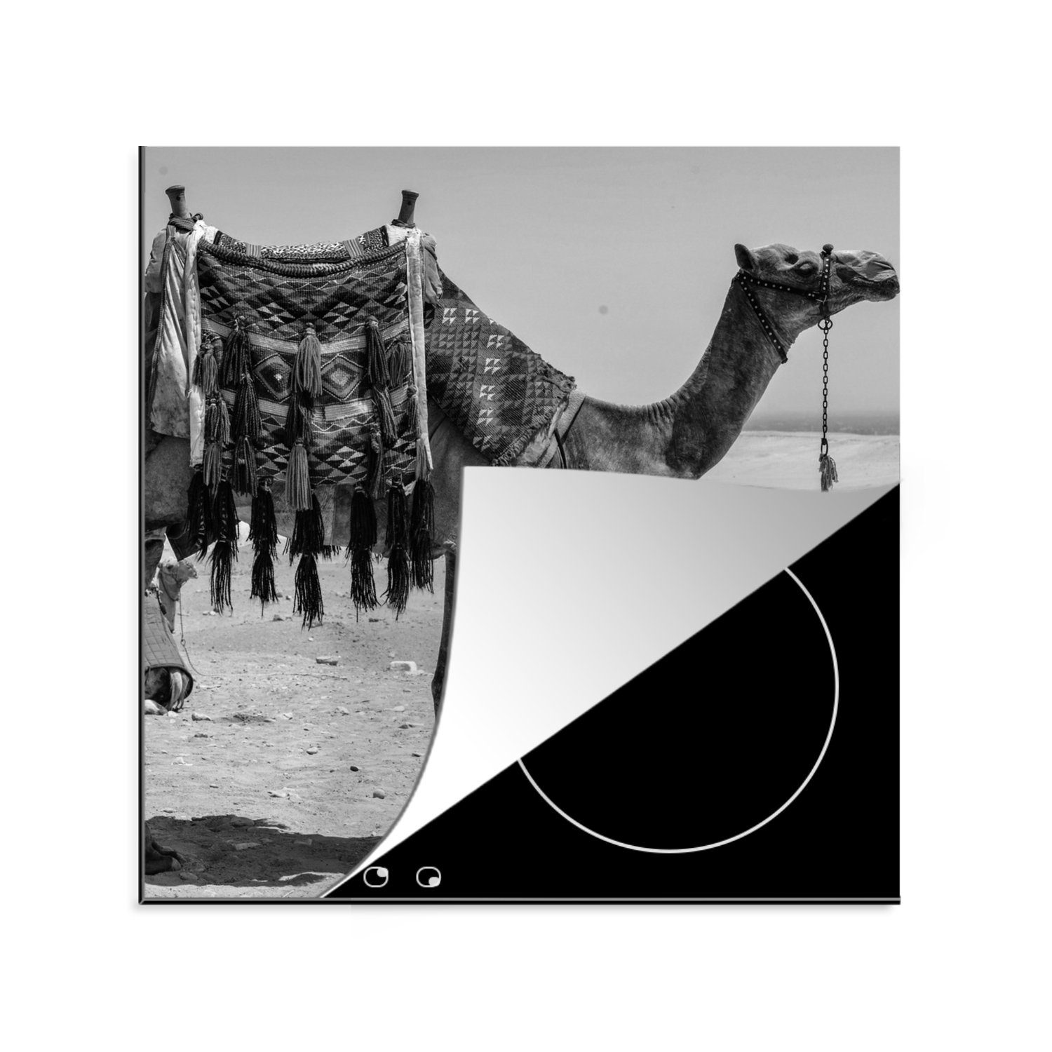 MuchoWow Herdblende-/Abdeckplatte Kamel - Ägypten - Schwarz - Weiß, Vinyl, (1 tlg), 78x78 cm, Ceranfeldabdeckung, Arbeitsplatte für küche