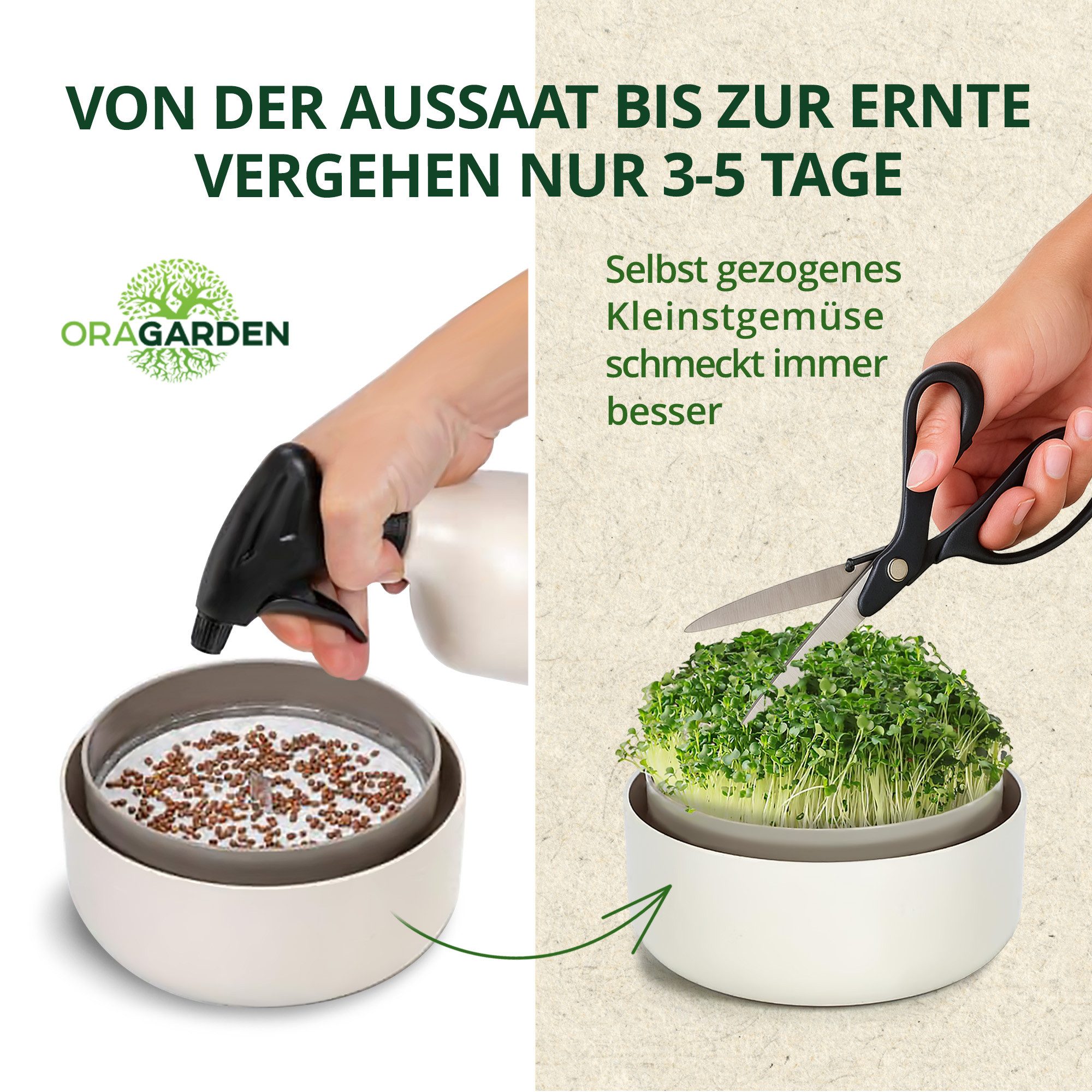 OraGarden Anzuchttopf ORAGARDEN Sprossen Anzuchtset mit 5 Bio Sorten günstig online kaufen
