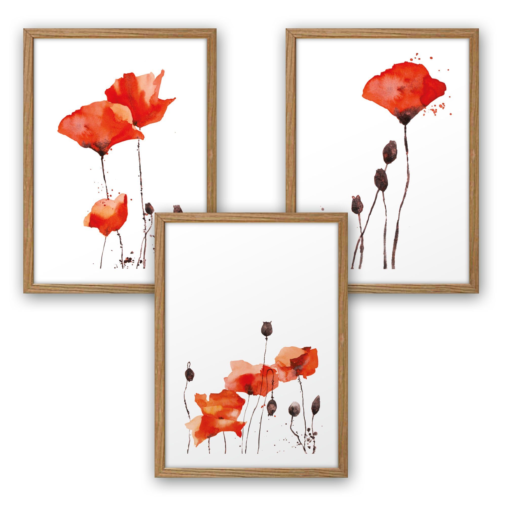 Kreative Feder Poster, Mohnblume, Blüte, Blume, günstig online kaufen