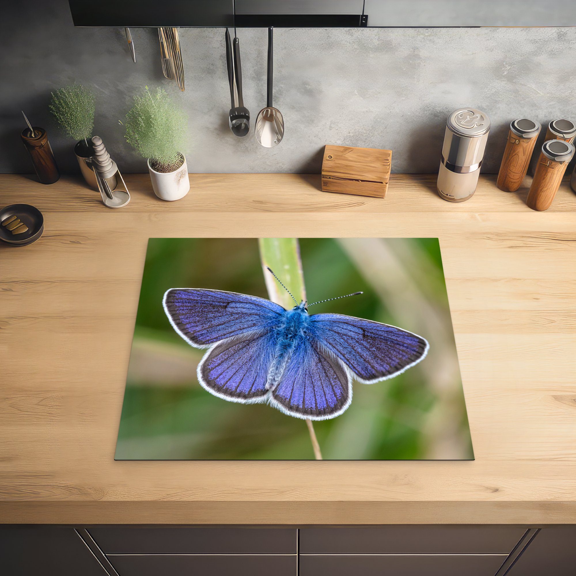 Herdblende-/Abdeckplatte im Ceranfeldabdeckung Vinyl, (1 nutzbar, cm, Schmetterling tlg), Blauglöckchen Arbeitsfläche Gras, Mobile MuchoWow 60x52