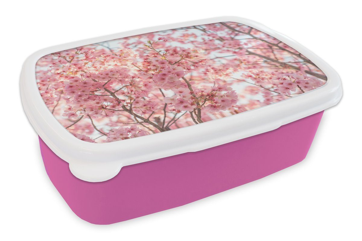 MuchoWow Lunchbox Kirschblüte in Japan, Kunststoff, (2-tlg), Brotbox für Erwachsene, Brotdose Kinder, Snackbox, Mädchen, Kunststoff rosa
