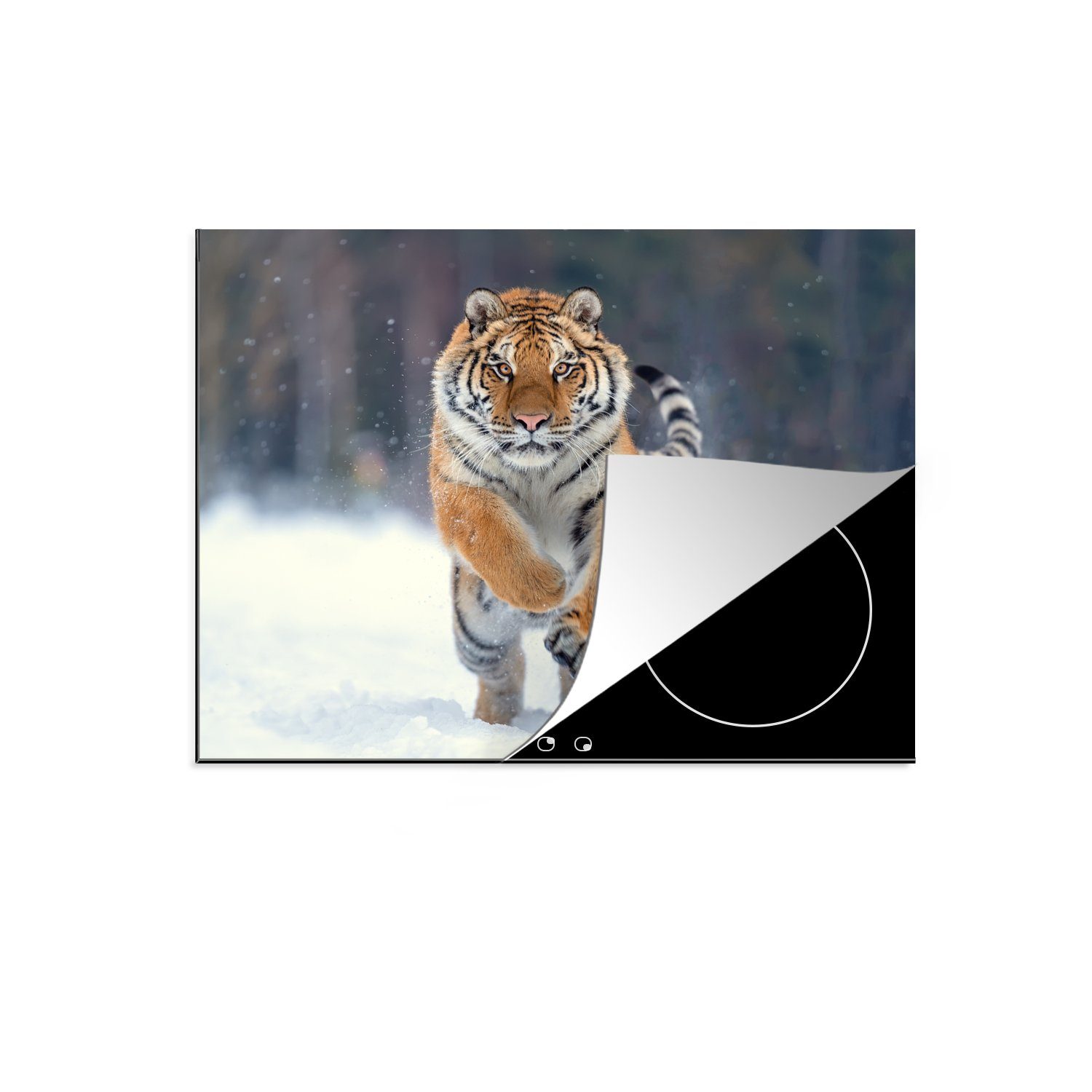 MuchoWow Herdblende-/Abdeckplatte Tiger - Landschaft - Schnee - Tiere, Vinyl, (1 tlg), 58x51 cm, Küchen Dekoration für Induktionsherd, Induktionskochfeld