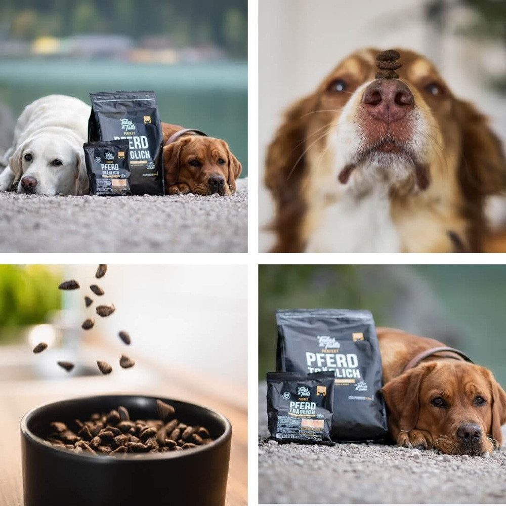 Tales & Tails Softtrockenfutter Perfekt PferdTräglich, Trockenfutter für: Hunde