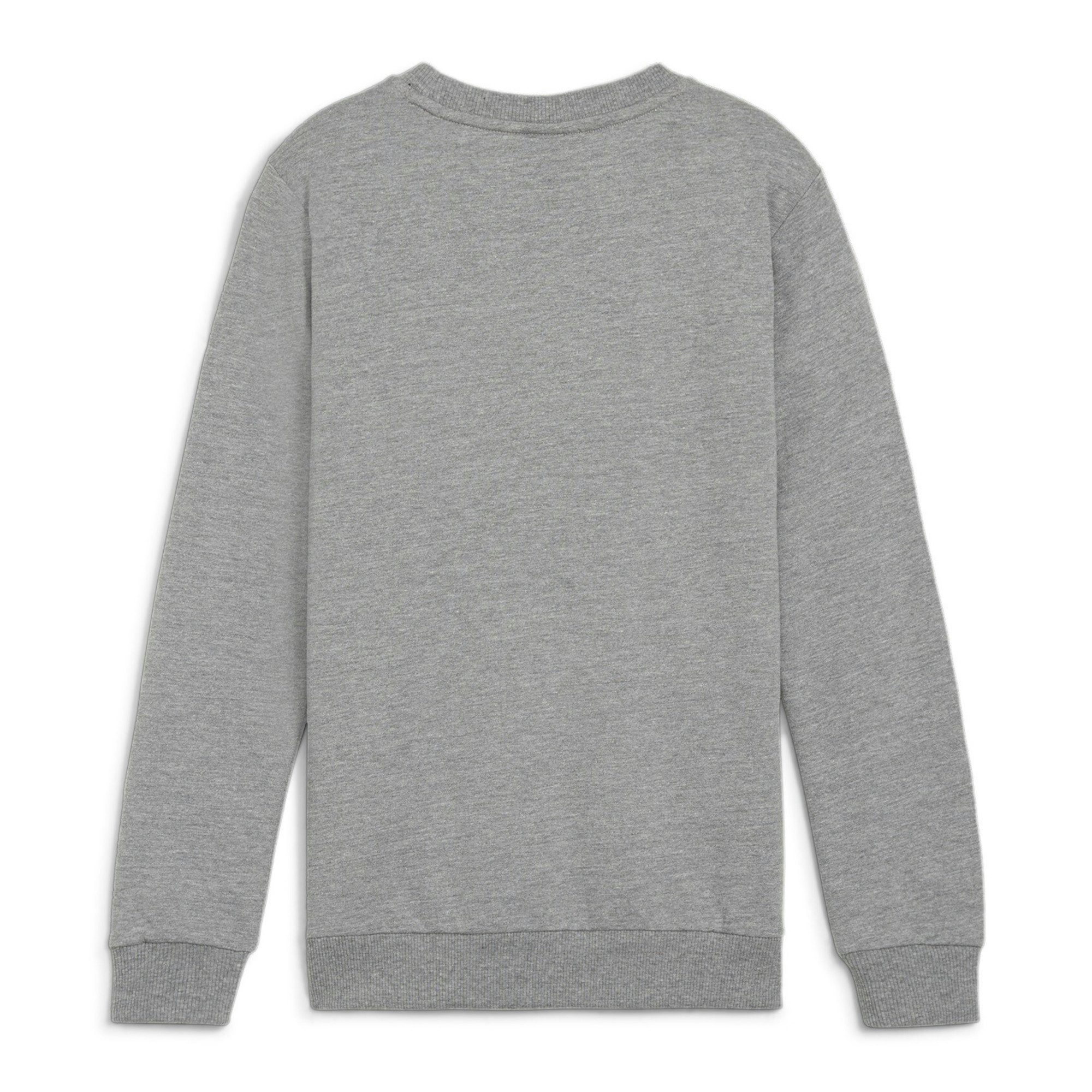 PUMA Fleecepullover Puma Kinder Pullover teamGOAL Casuals Crew Neck Sweat Jr 658593