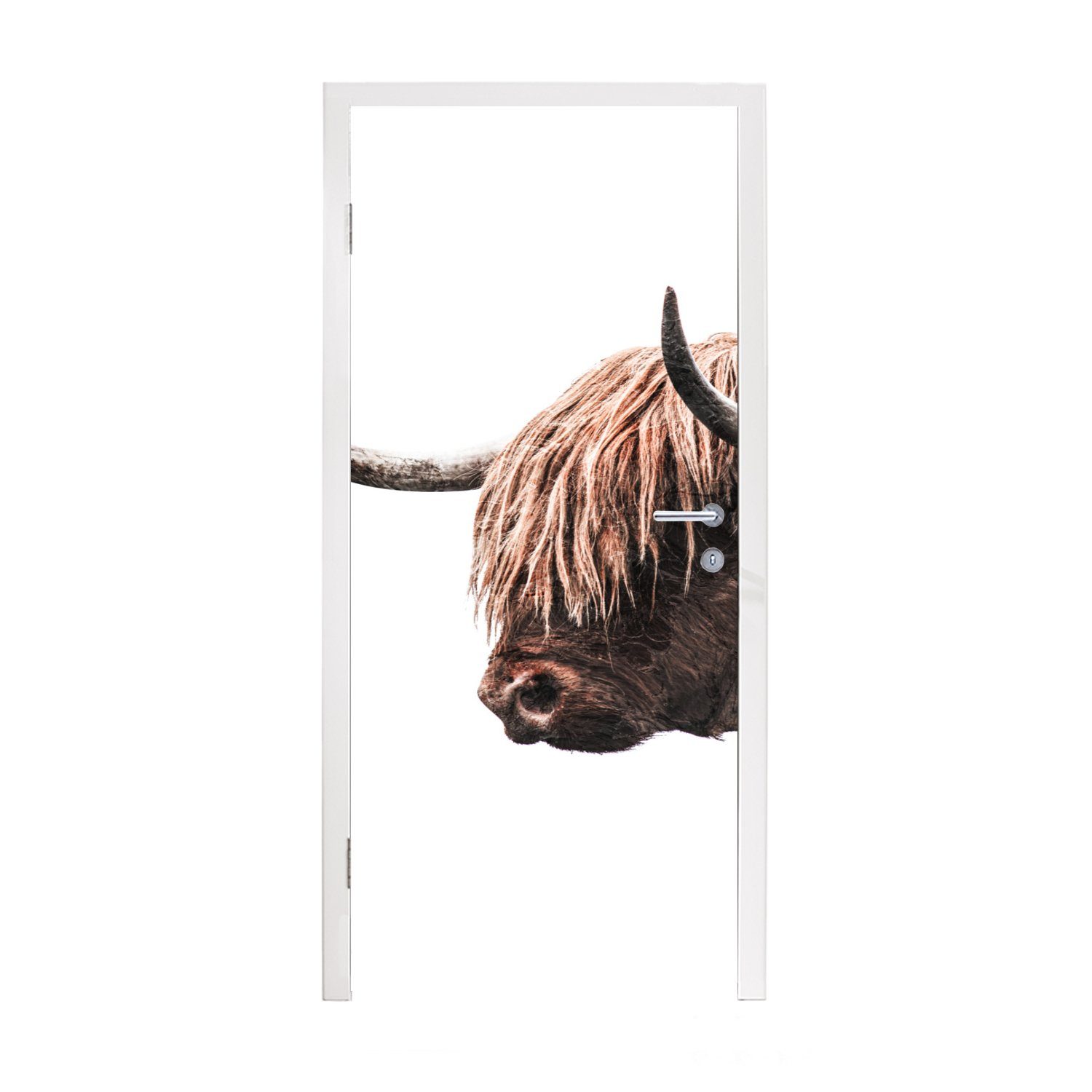 MuchoWow Türtapete Schottischer Highlander Matt, Tür, für - Weiß, St), - 75x205 Fototapete (1 cm Tiere bedruckt, Türaufkleber
