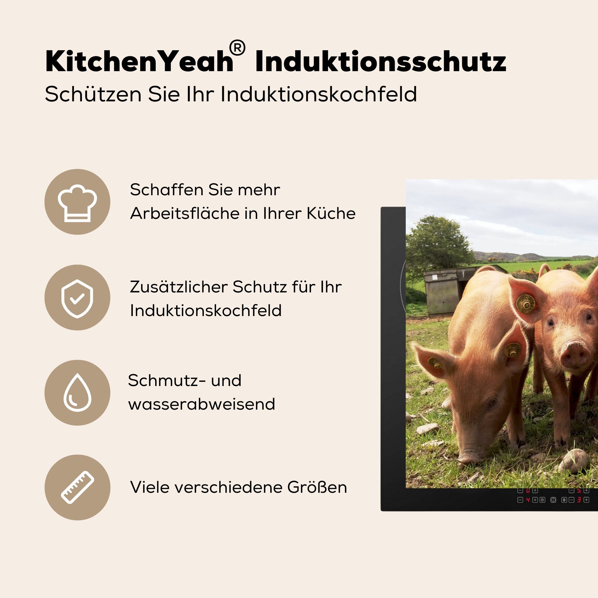 cm, Vinyl, Arbeitsplatte Herdblende-/Abdeckplatte - - Tier, MuchoWow für Schwein 83x51 Ceranfeldabdeckung, (1 tlg), küche Gras