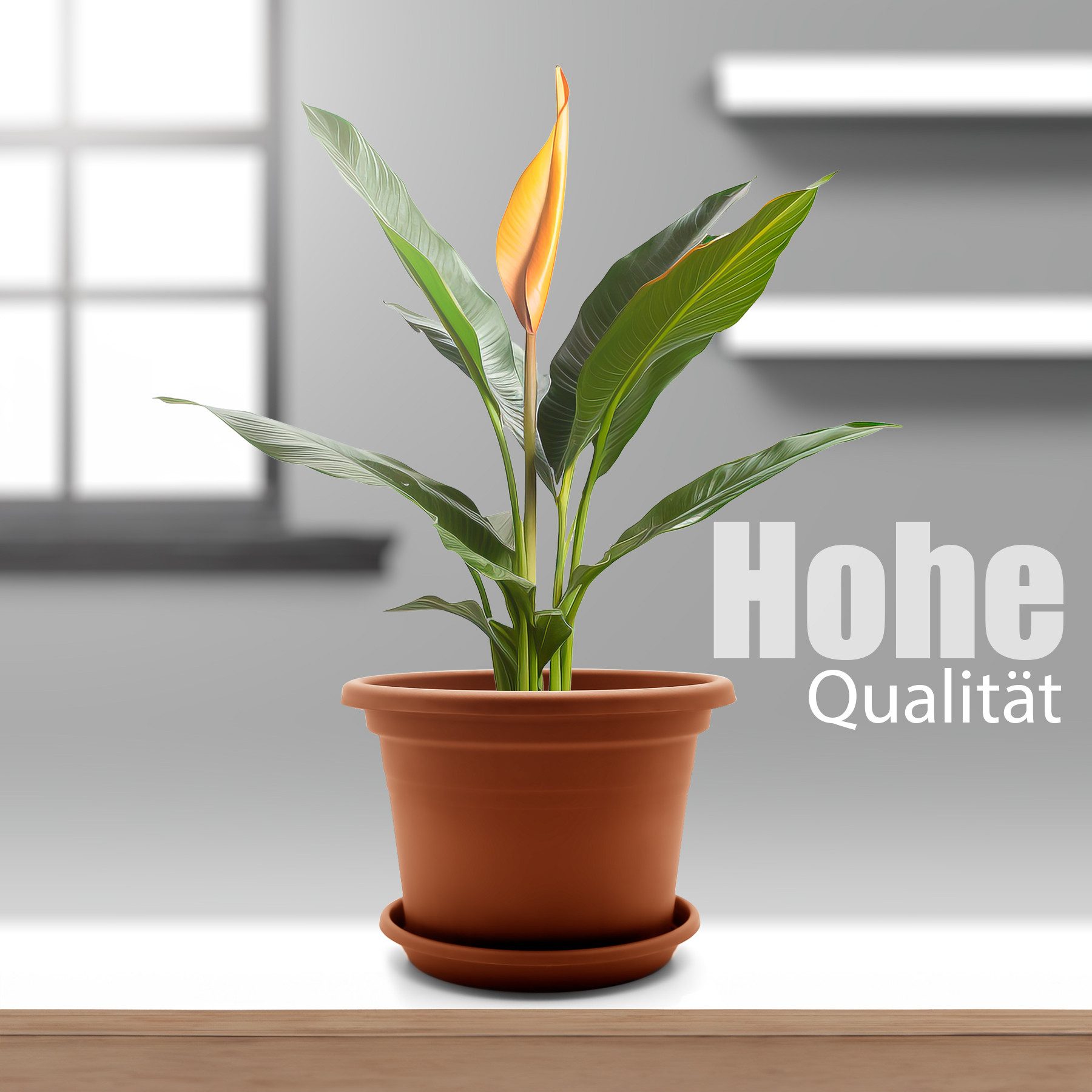 BigDean Blumentopf 8 Stück Pflanzkübel mit günstig online kaufen