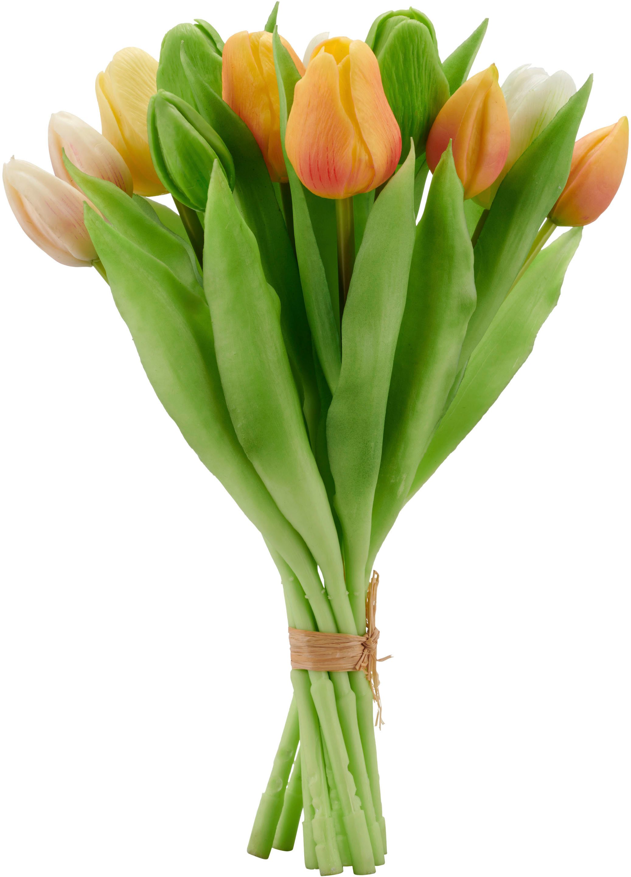 Kunsttulpe Tulpenbund