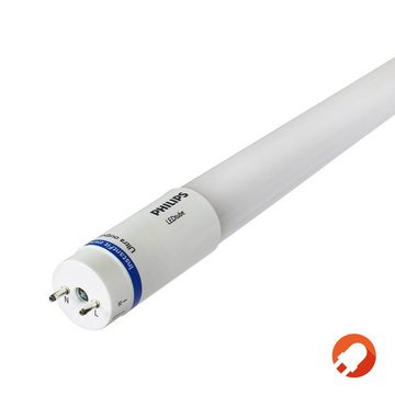 Philips LED-Leuchtmittel 150cm G13/T8 MASTER LED-Röhre, G13
