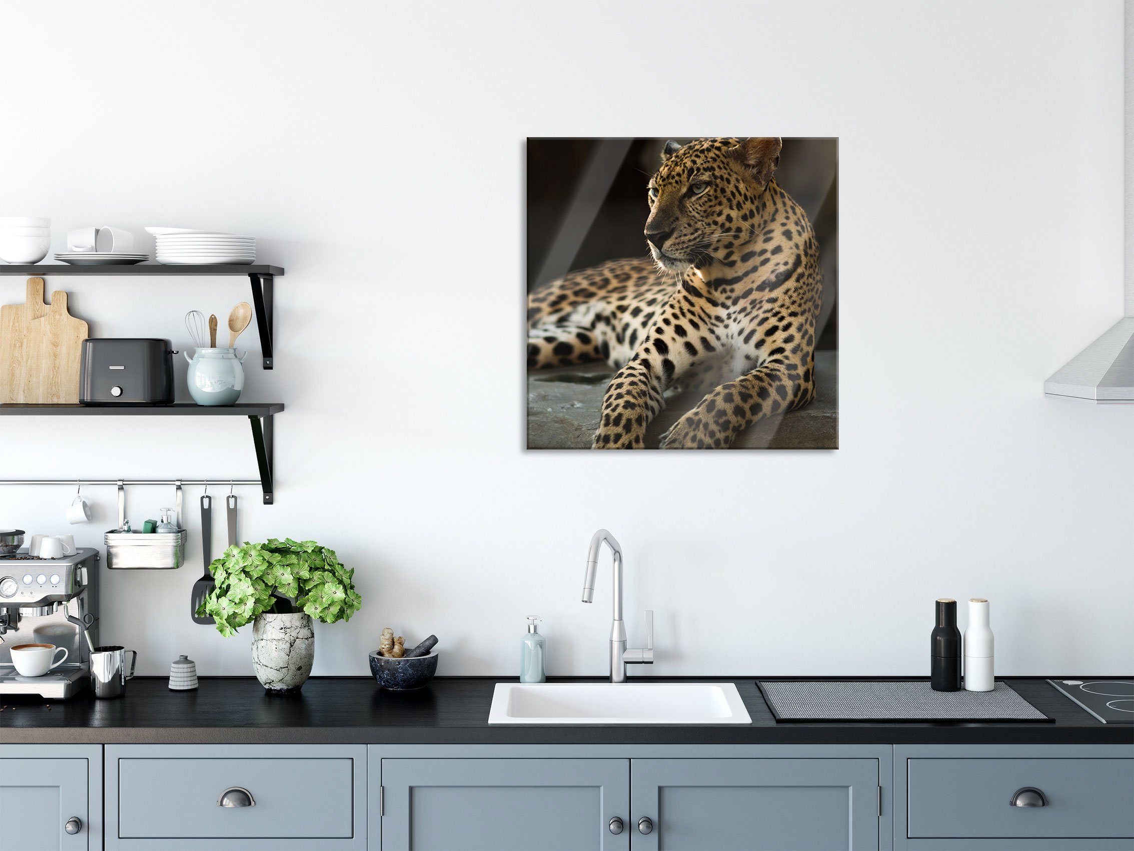 Majestätischer Majestätischer Glasbild Leopard inkl. St), Abstandshalter Aufhängungen Echtglas, (1 aus Glasbild Leopard, und Pixxprint