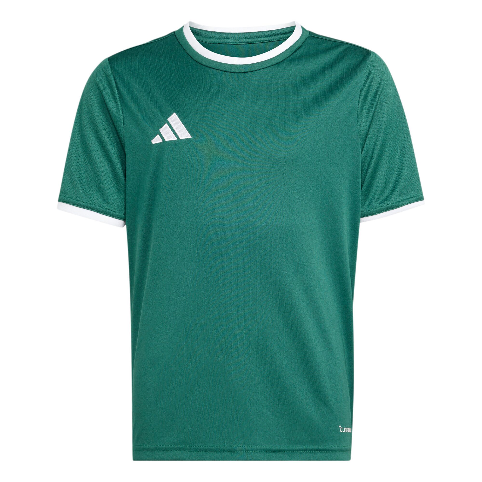 Team Dark Green / White
