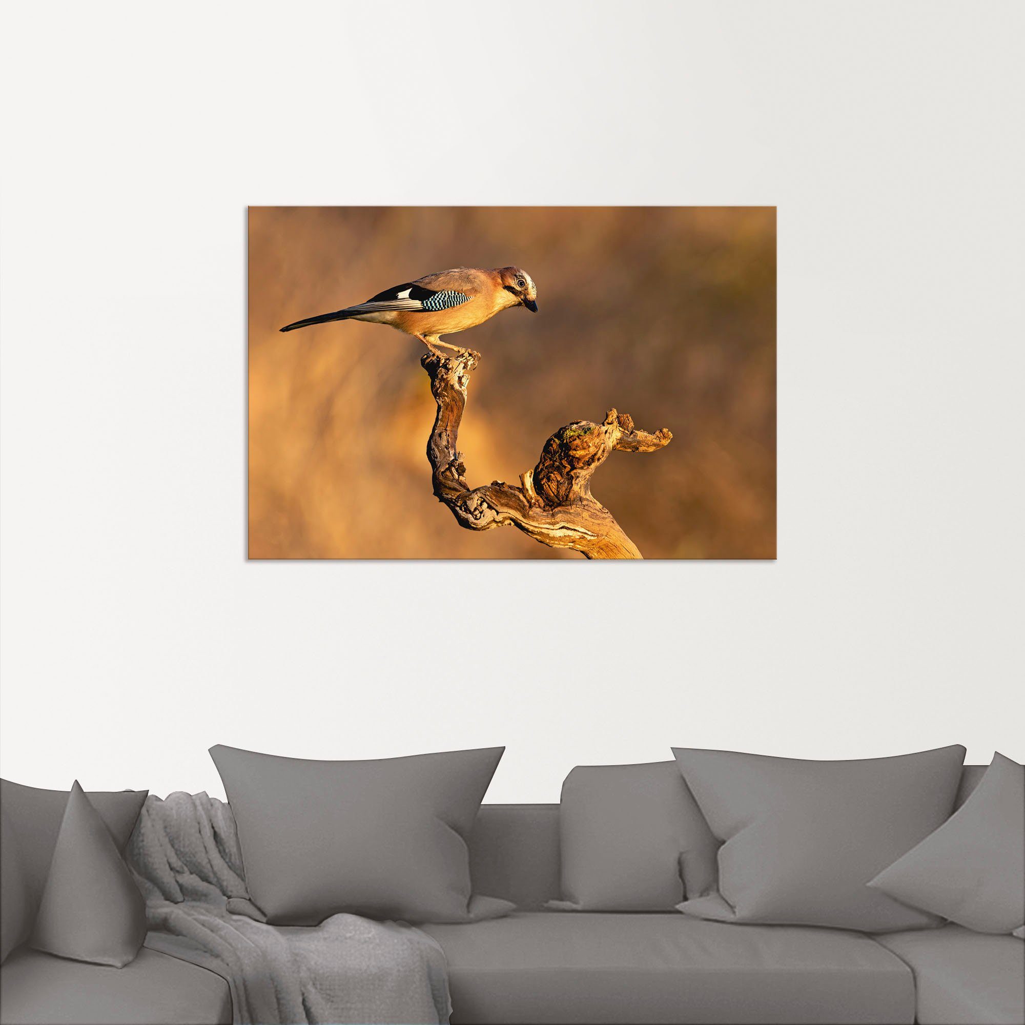 Artland Wandbild »Eichelhäher«, Vogelbilder (1 Stück), in vielen Größen & Produktarten - Alubild / Outdoorbild für den Außenbereich, Leinwandbild, Poster, Wandaufkleber / Wandtattoo auch für Badezimmer geeignet-kaufen