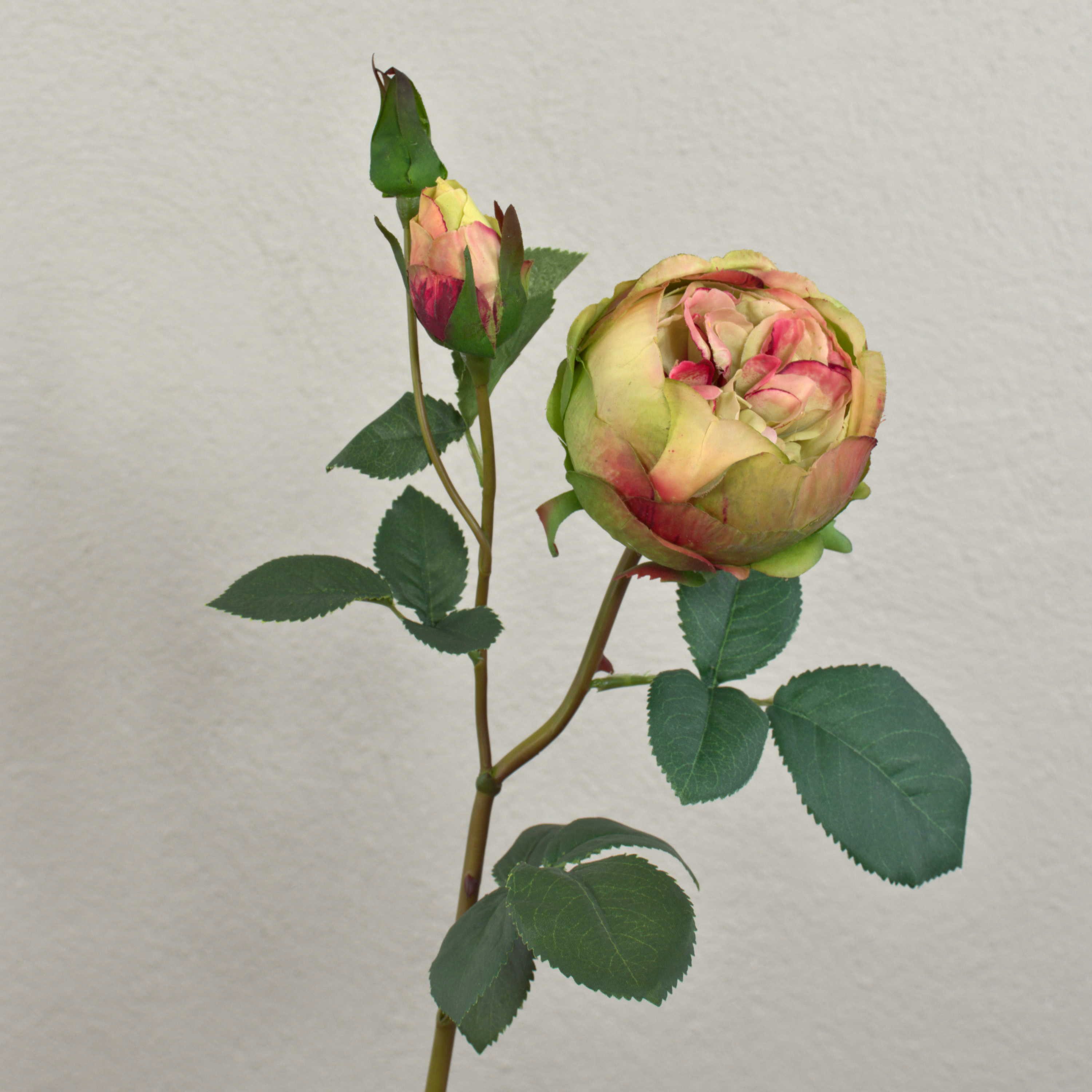 Kunstblume Kunst Kohl-Rose MIRETTA, grün-Burgunderrot, 60cm, Ø3-9cm - Textil Koh Rose (Kohl-Rose), artplants, Höhe 60.0 cm