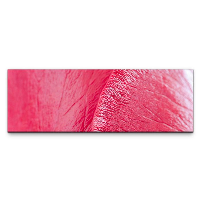 möbel-direkt.de Leinwandbild Bilder XXL rote Blüte Makro Wandbild auf Leinwand