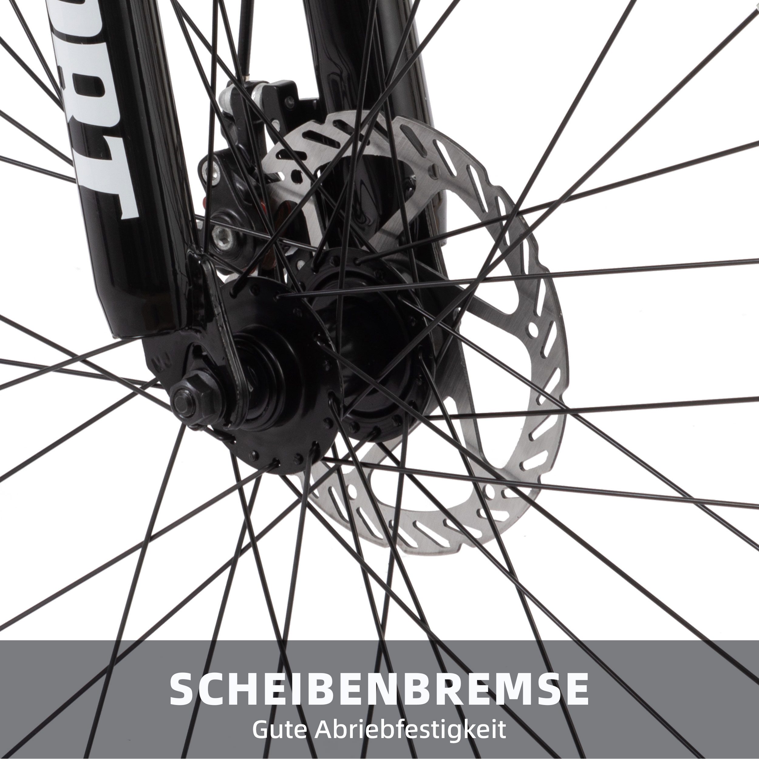 Lauxjack Mountainbike 26 Zoll, MTB, Herrenrad, Shimano 21-Gang, Federgabel, Scheibenbremse, 21 Gang Shimano Tourney RD-TY300/200 Schaltwerk, Kettenschaltung, (S – Bild 4 von 5
