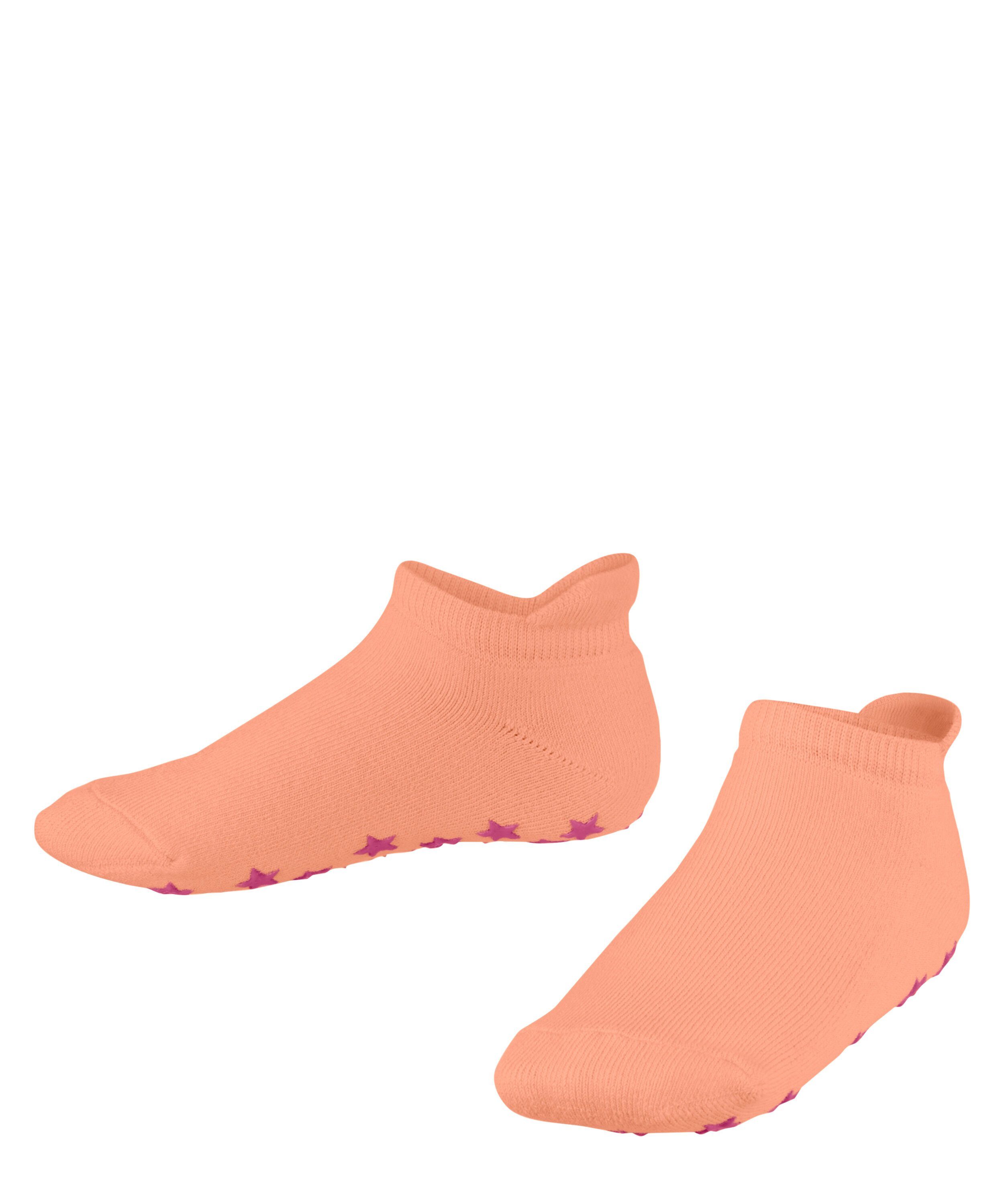 cantaloupe (8771)