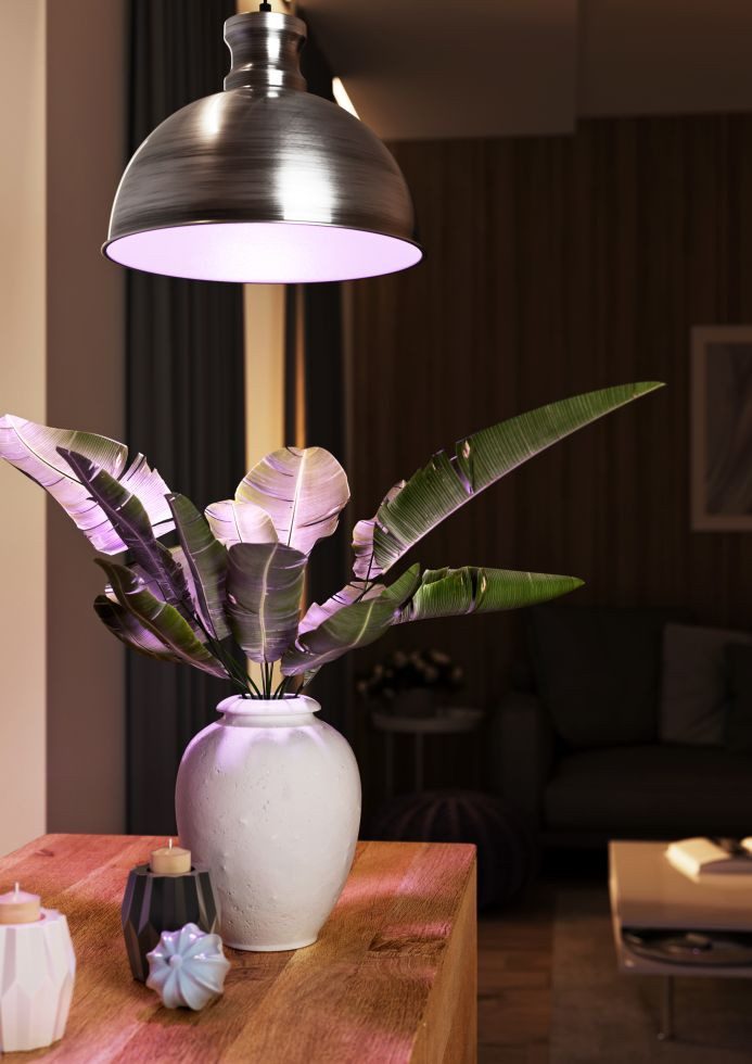 Bio Green Gewächshaus Bio Green Pflanzenleuchte Florabooster 500 W 6,5 W