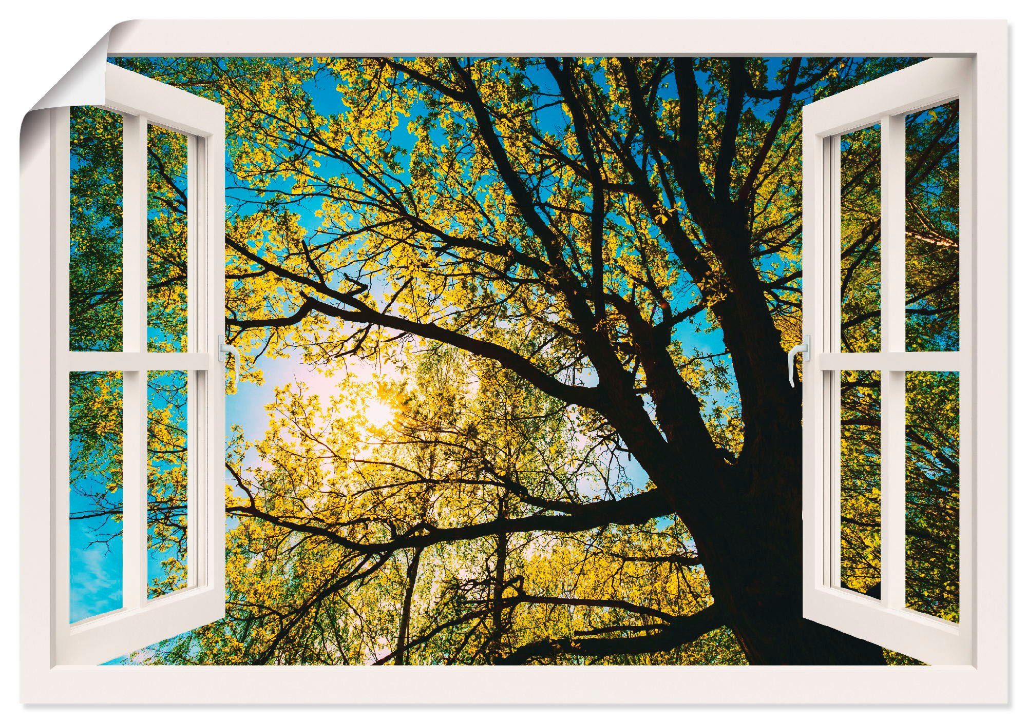 Artland Wandbild Fensterblick Poster Baumkrone, versch. Wandaufkleber Alubild, Bäume oder in (1 als Leinwandbild, St), Größen Frühlingssonne