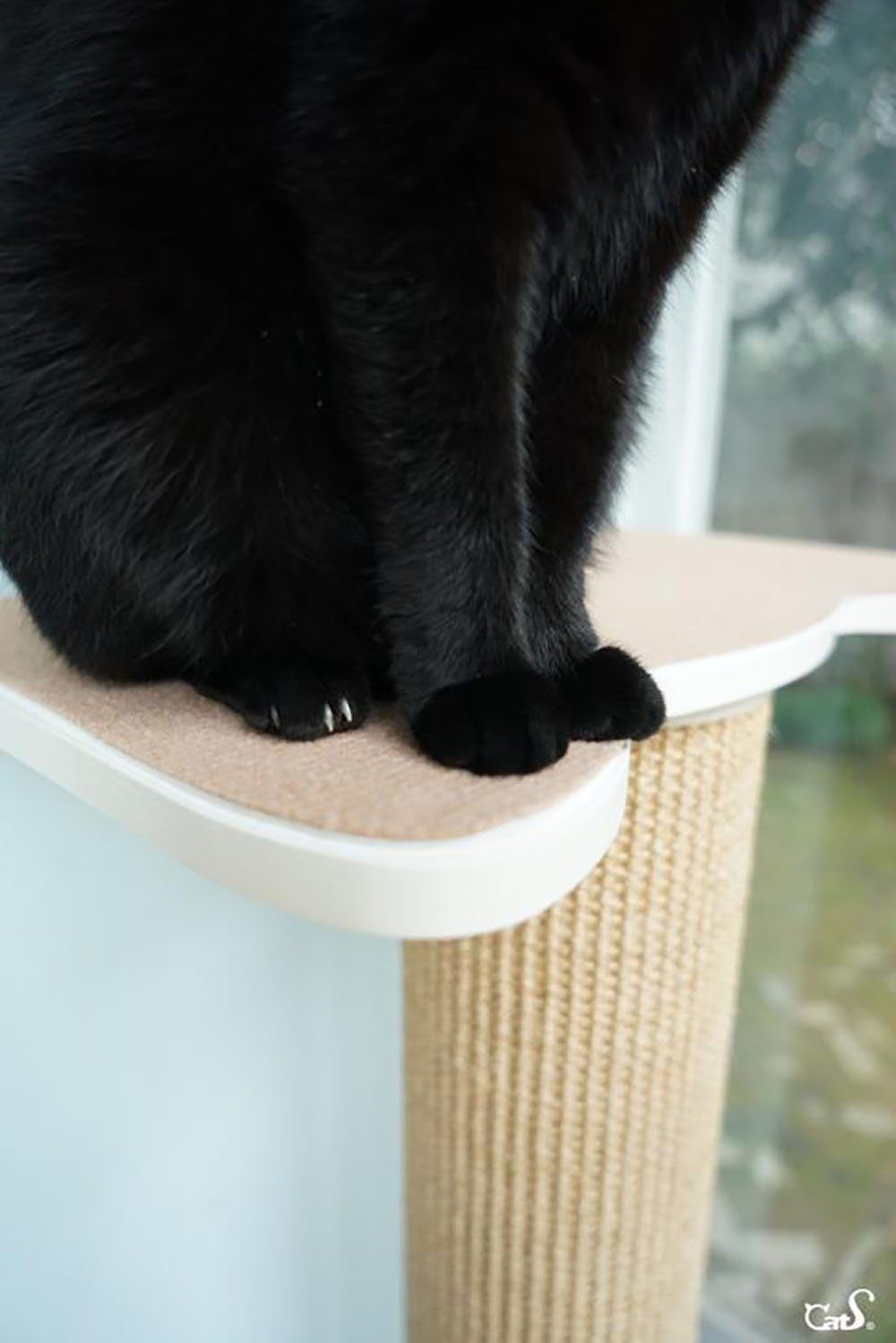 CatS Design Katzen-Wandregal CatS Design Katzen XXL Kletterwand 4 Teilig Set T1, hochwertig solider holz Designmöbel-Extreme starke Konstruktion