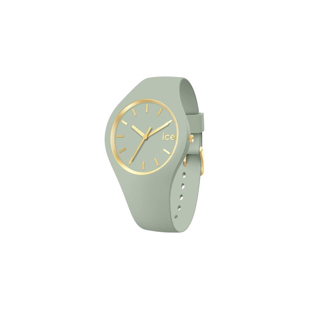 ice-watch Quarzuhr Ice-Watch Ice glam brushed Jade Small 020542 günstig online kaufen