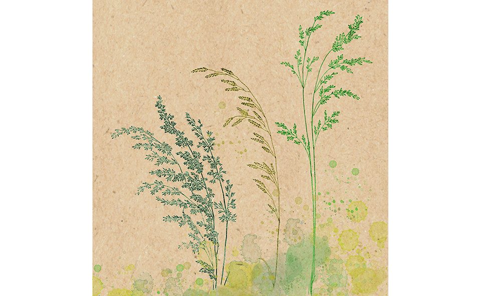 Braun+Company Atelier Stoffserviette Braun & Company Servietten natur grün 33 x 33 cm -