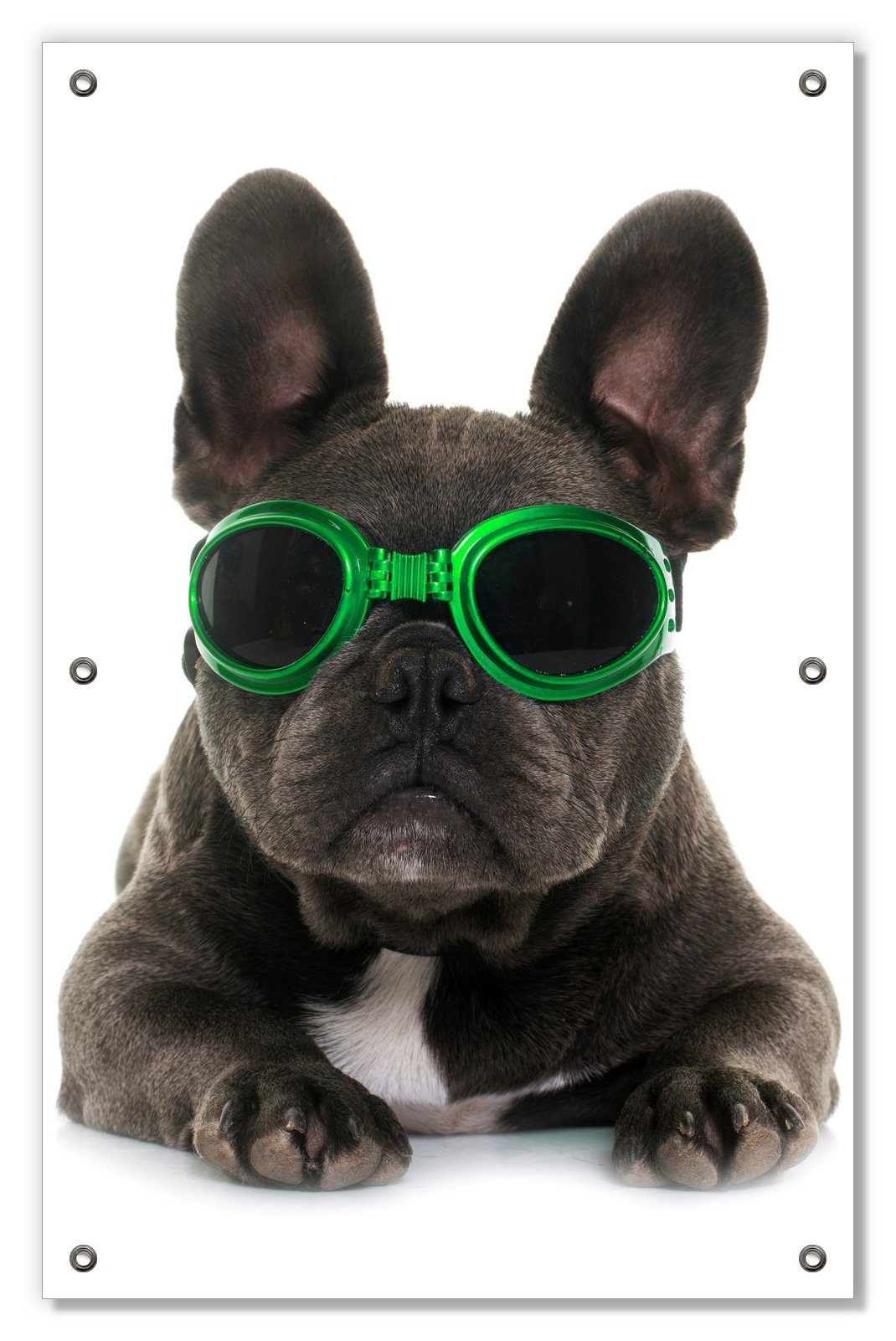 Sonnenschutz Cooler Hund mit Sonnenbrille in grün - Französische Bulldogge, Wallario, blickdicht, mit Saugnäpfen, wiederablösbar und wiederverwendbar
