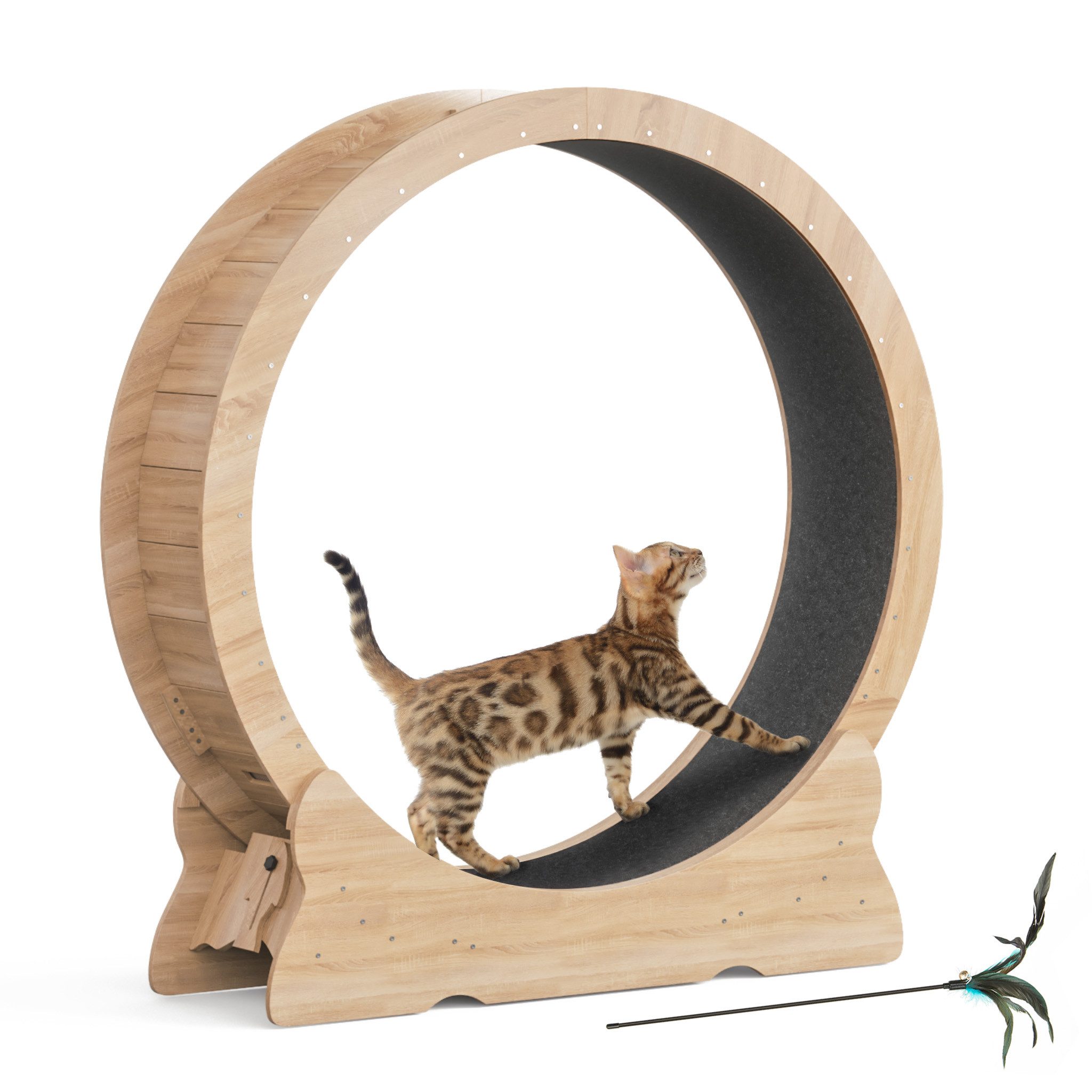 Mondeer Tier-Intelligenzspielzeug Katzenlaufrad, MDF, Tier-Intelligenzspiel günstig online kaufen