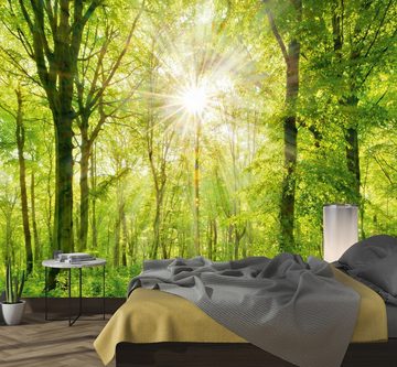 murimage® Fototapete Fototapete Wald 3D 274 x 254cm Bäume Sonne Wohnzimmer Schlafzimmer Küche inklusive Kleister