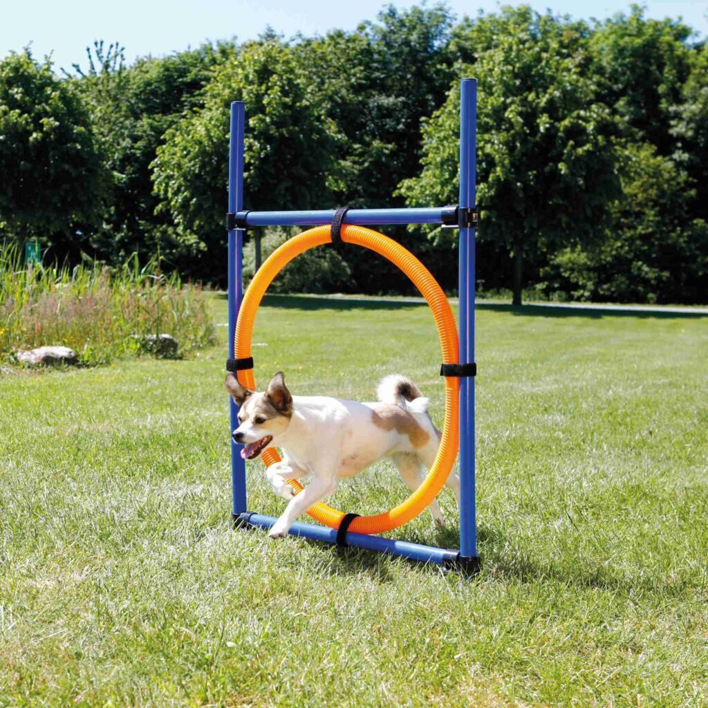 TRIXIE Agility-Reifen Fun Agility Ring - blau/orange - 115 × ø 3 cm, ø 65 cm, Kunststoff