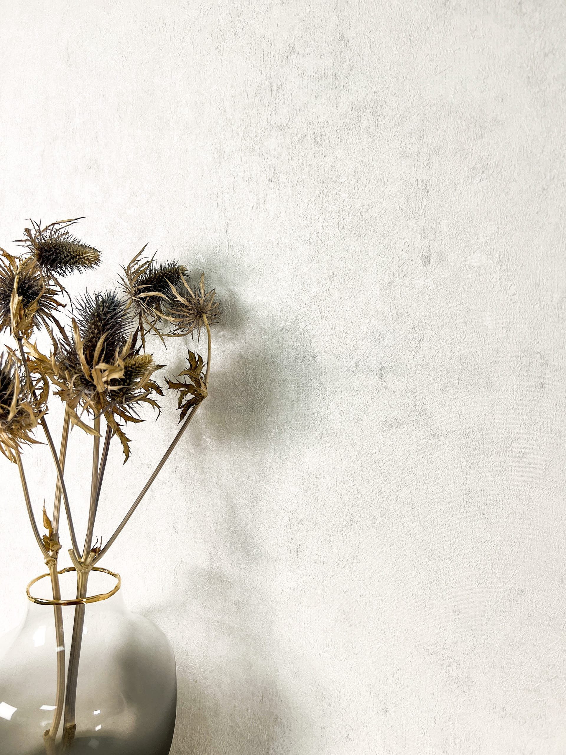 Newroom Vliestapete, Modern Tapete Modern Unifarbe - Universal Einfarbig Un günstig online kaufen