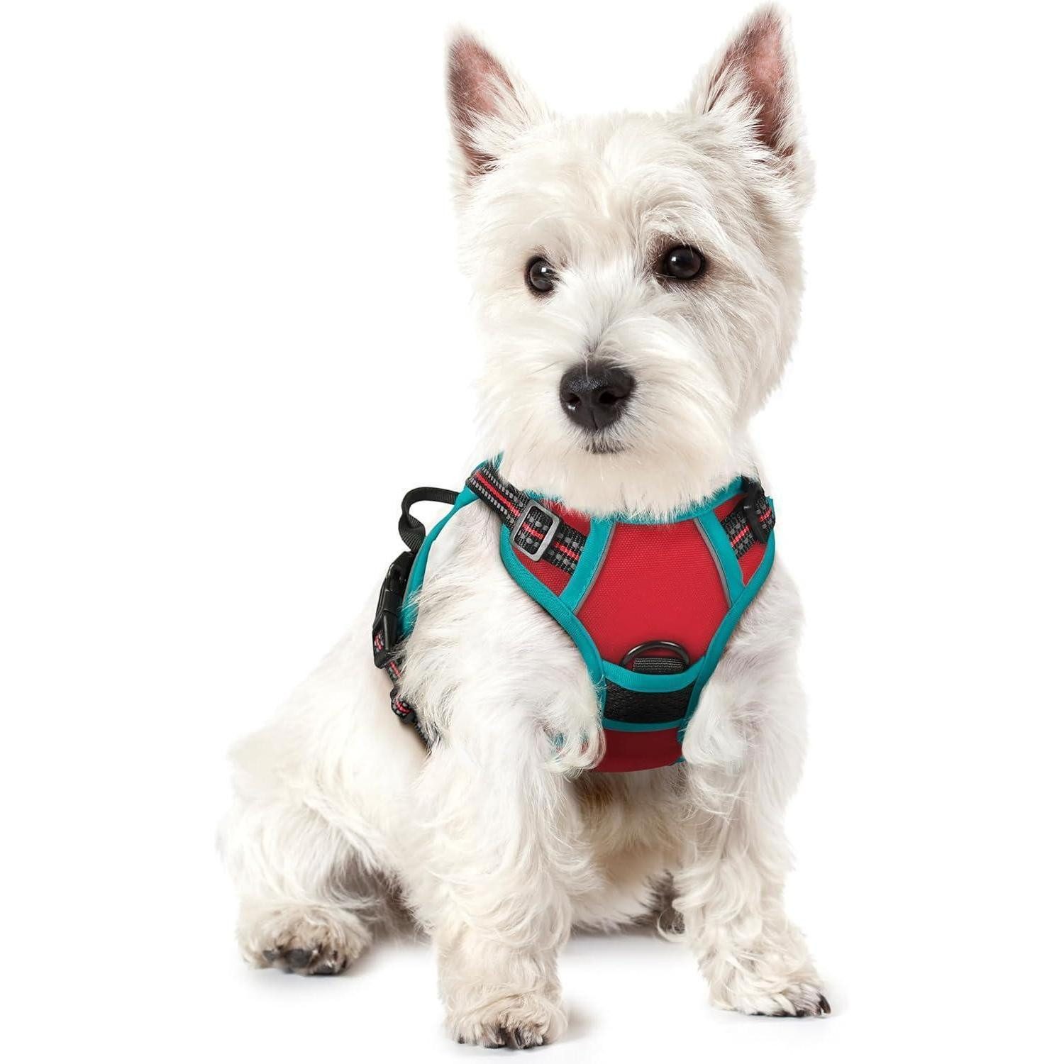 LuxusKollektion Hunde-Sicherheitsgeschirr Hundegeschirr NoPull Verstellbar Rot+Blaugrün XS (1er Pack)