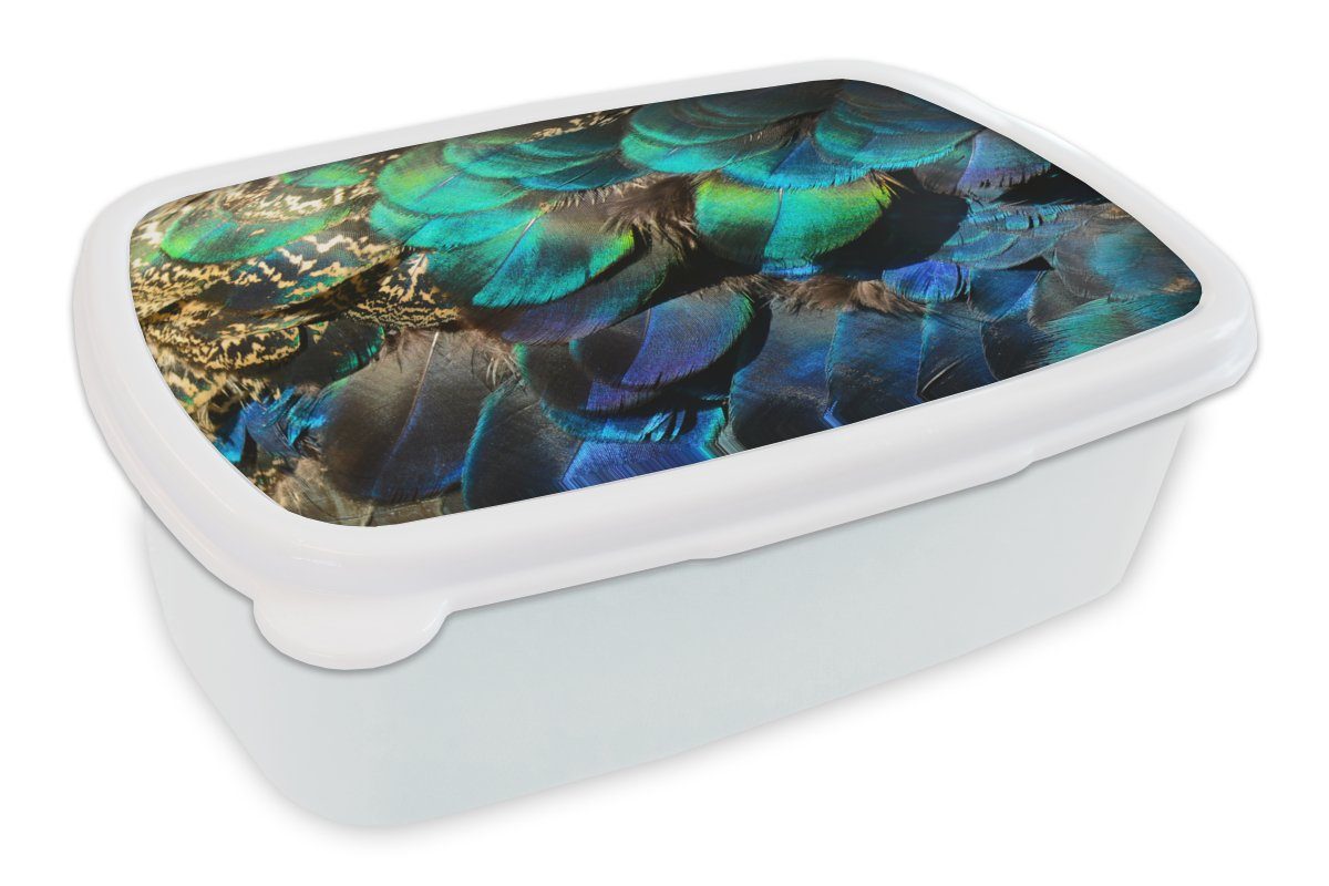 MuchoWow Lunchbox Federn - Pfauenfedern - Pfau - Blau - Kunst, Kunststoff, (2-tlg), Brotbox für Kinder und Erwachsene, Brotdose, für Jungs und Mädchen weiß