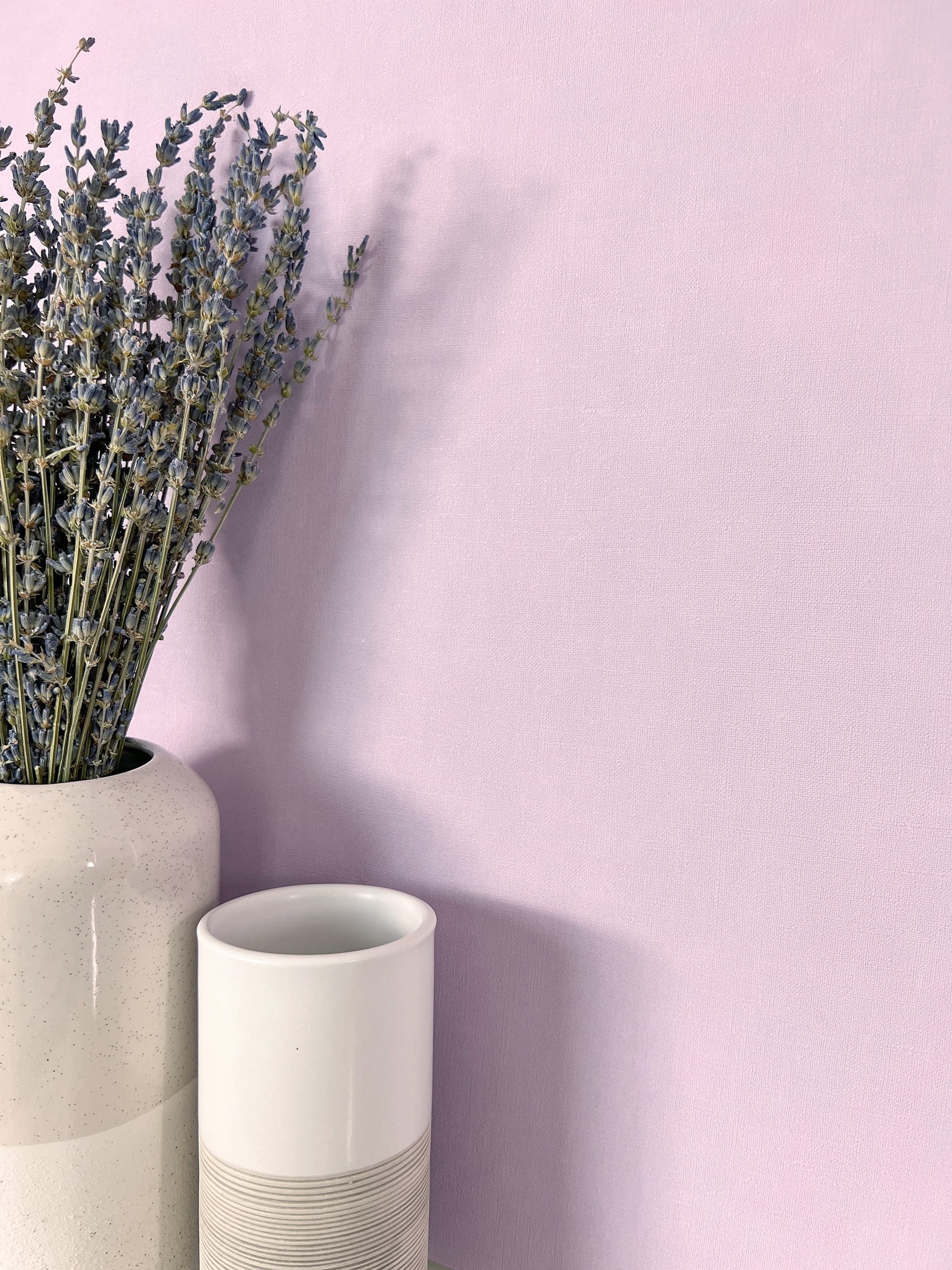 Newroom Vliestapete, Lila Tapete Modern Unifarbe günstig online kaufen