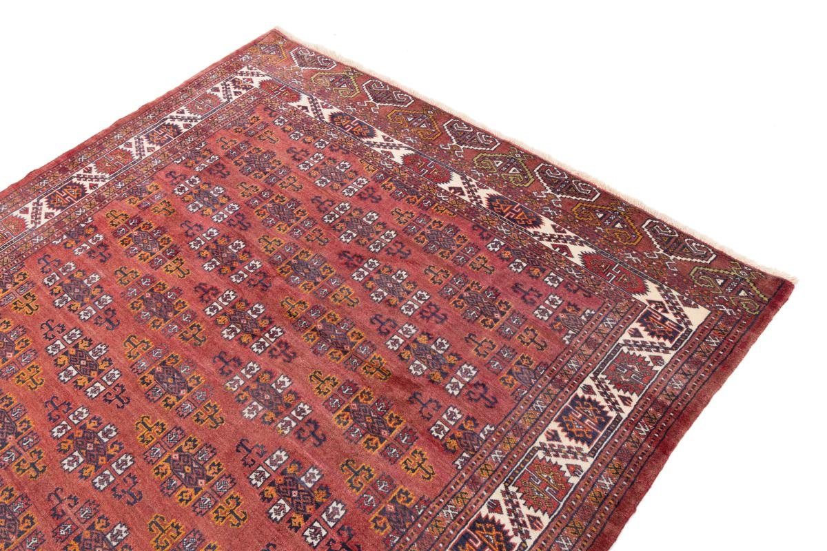 alt mm 8 Höhe: Orientteppich Orientteppich Nain Handgeknüpfter Trading, Perserteppich, Bukhara 211x202 / rechteckig,