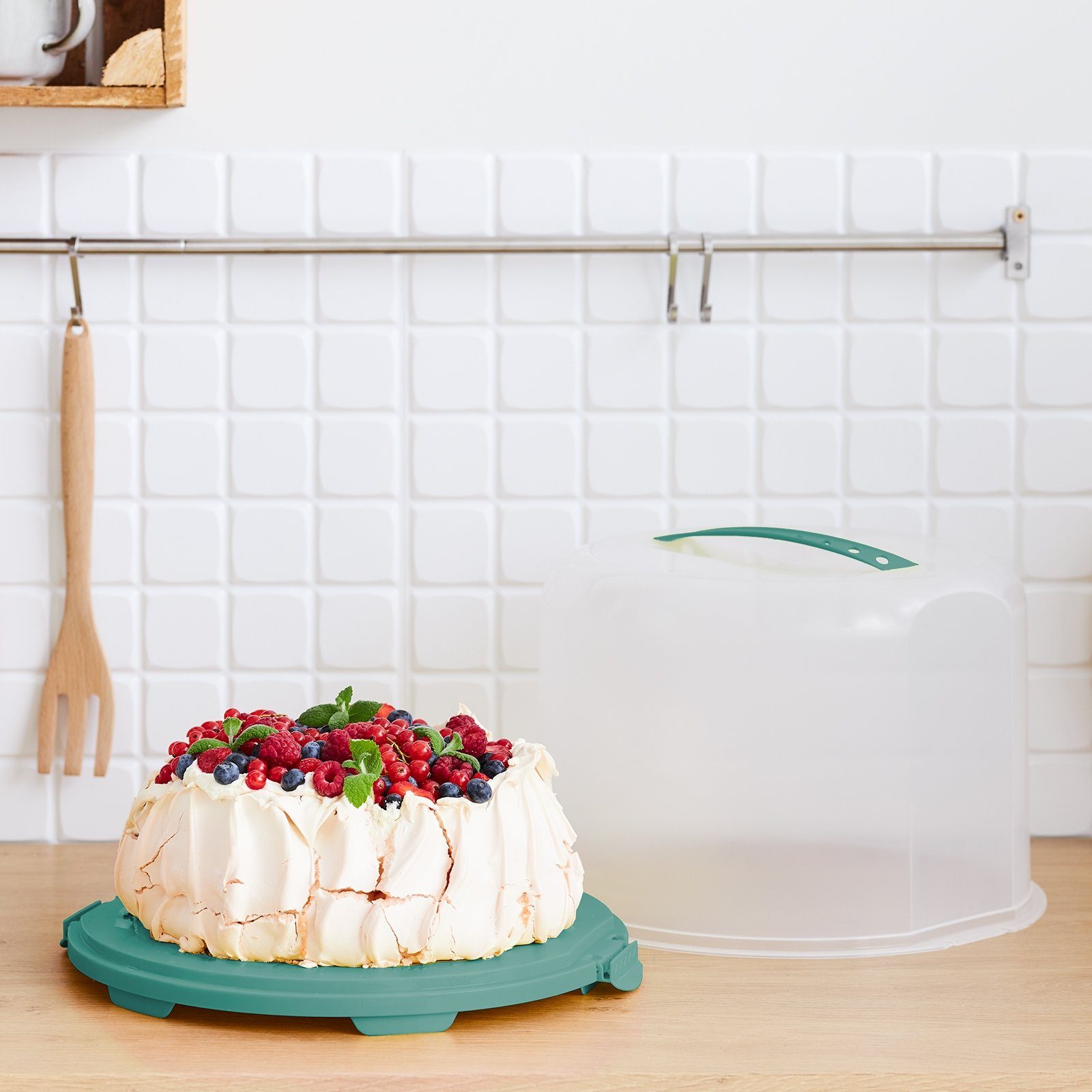 ROTHO Aufbewahrungssystem FRESH Kuchentransportbox XL, Kunststoff, Hergestellt in der Schweiz