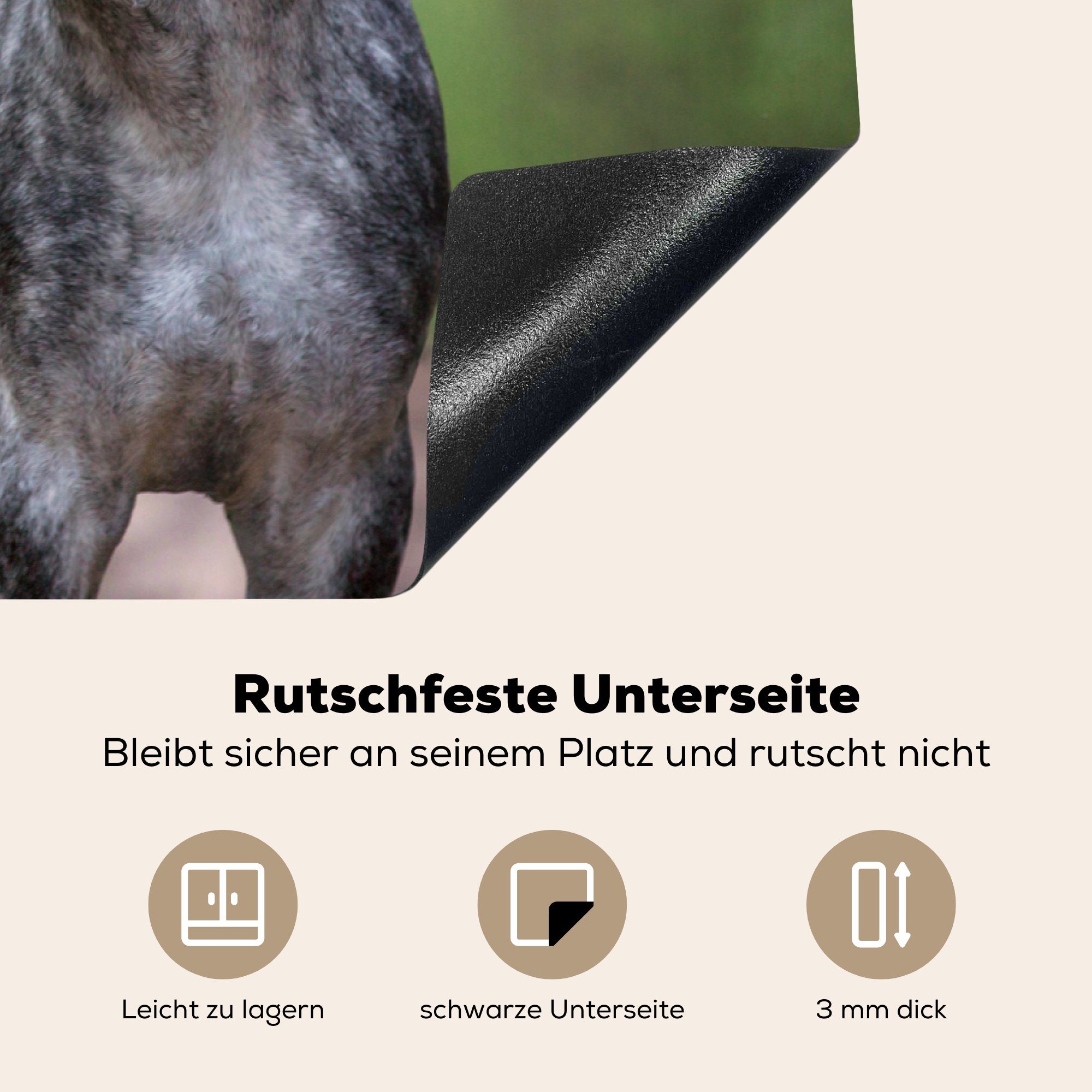 - Induktionskochfeld die Wald Herdblende-/Abdeckplatte küche, für 81x52 MuchoWow cm, (1 Ceranfeldabdeckung tlg), Porträt, Vinyl, Schutz - Pferd