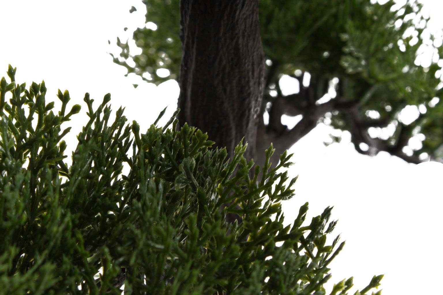 Kunstbonsai »Ceder Bonsai« Ceder, Botanic-Haus, Höhe 50 cm-HomeTrends
