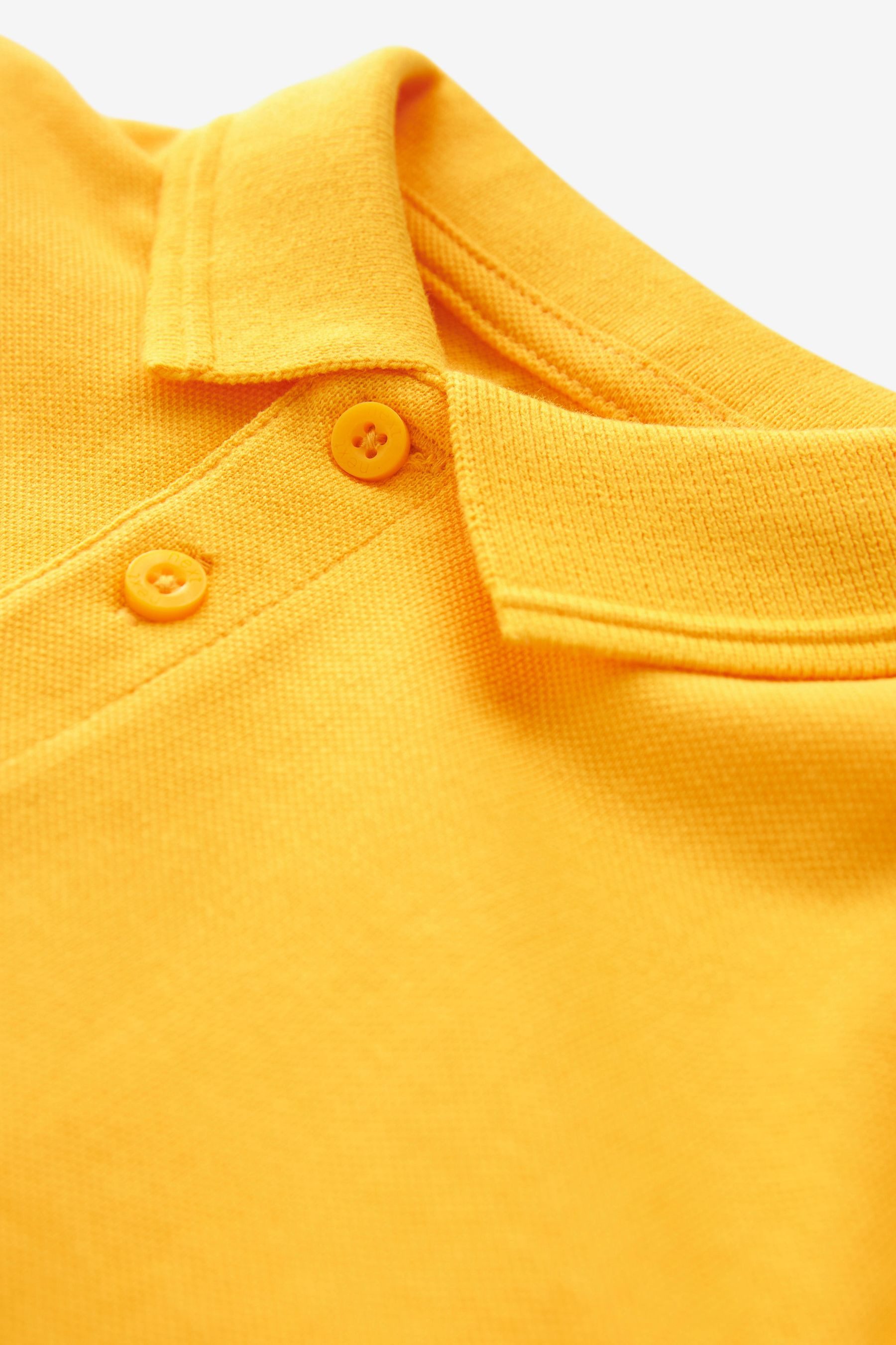 Next Poloshirt Schul-Poloshirts aus Baumwolle im 2er-Pack (2-tlg)