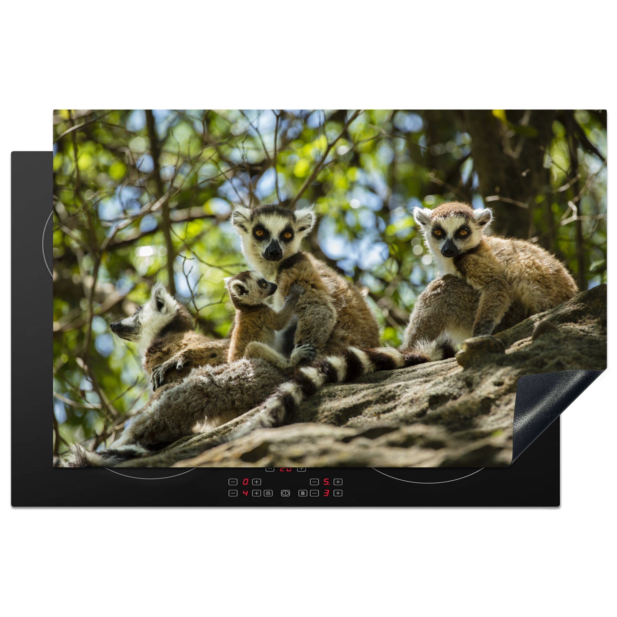 MuchoWow Herdblende-/Abdeckplatte Lemuren in Madagaskar, Vinyl, (1 tlg), 81x52 cm, Induktionskochfeld Schutz für die küche, Ceranfeldabdeckung