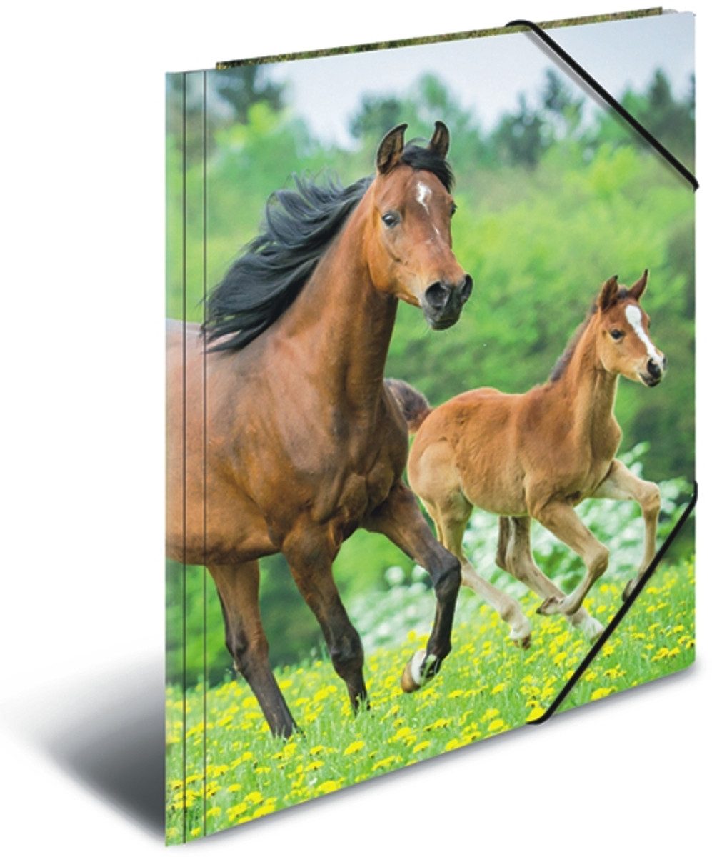 HERMA Fächermappe Gummizugmappe A3 PP (Polypropylen) Pferde