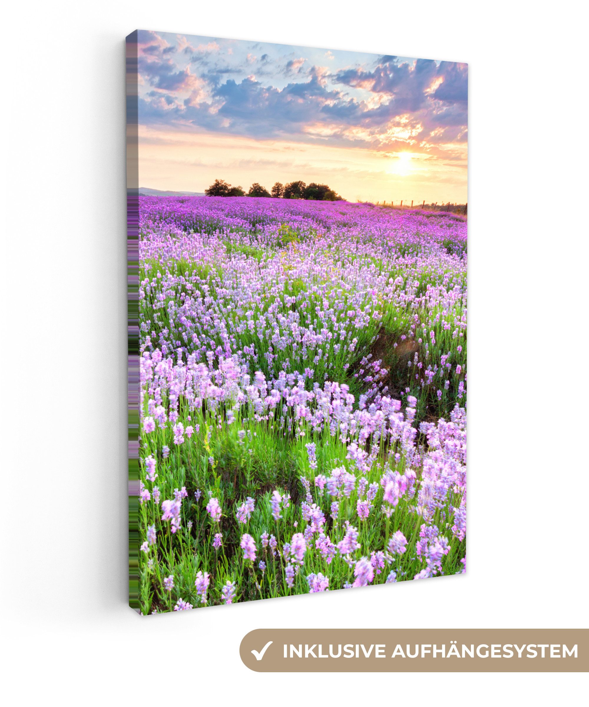 OneMillionCanvasses® Leinwandbild Blumen - Lavendel - Lila - Himmel - Sonne günstig online kaufen