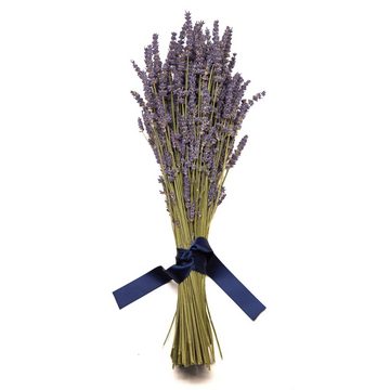 Trockenblume Echter Lavendel getrocknet Lavendelstrauß Deko Lavendelbund Ernte 2023 Lavendel, ROSEMARIE SCHULZ Heidelberg, Höhe 40 cm, französischer Lavendel aus der Provence auch für Lavendelsäckchen