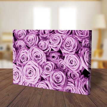 wandmotiv24 Leinwandbild violettes Rosenfeld Blüte, Blumen und Pflanzen (1 St), Wandbild, Wanddeko, Leinwandbilder in versch. Größen