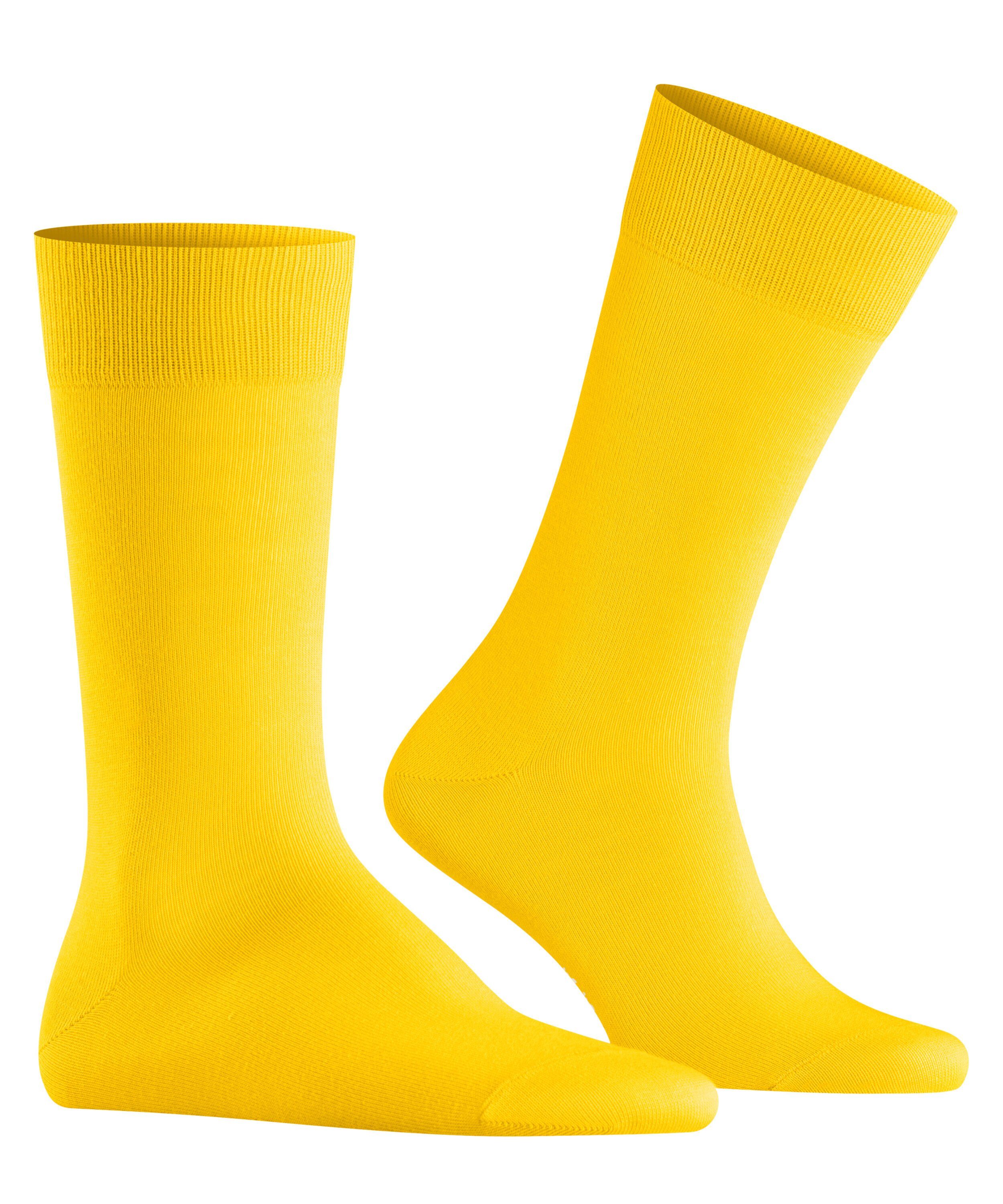Burlington Socken Lord (1-Paar) mit Bio-Baumwolle günstig online kaufen