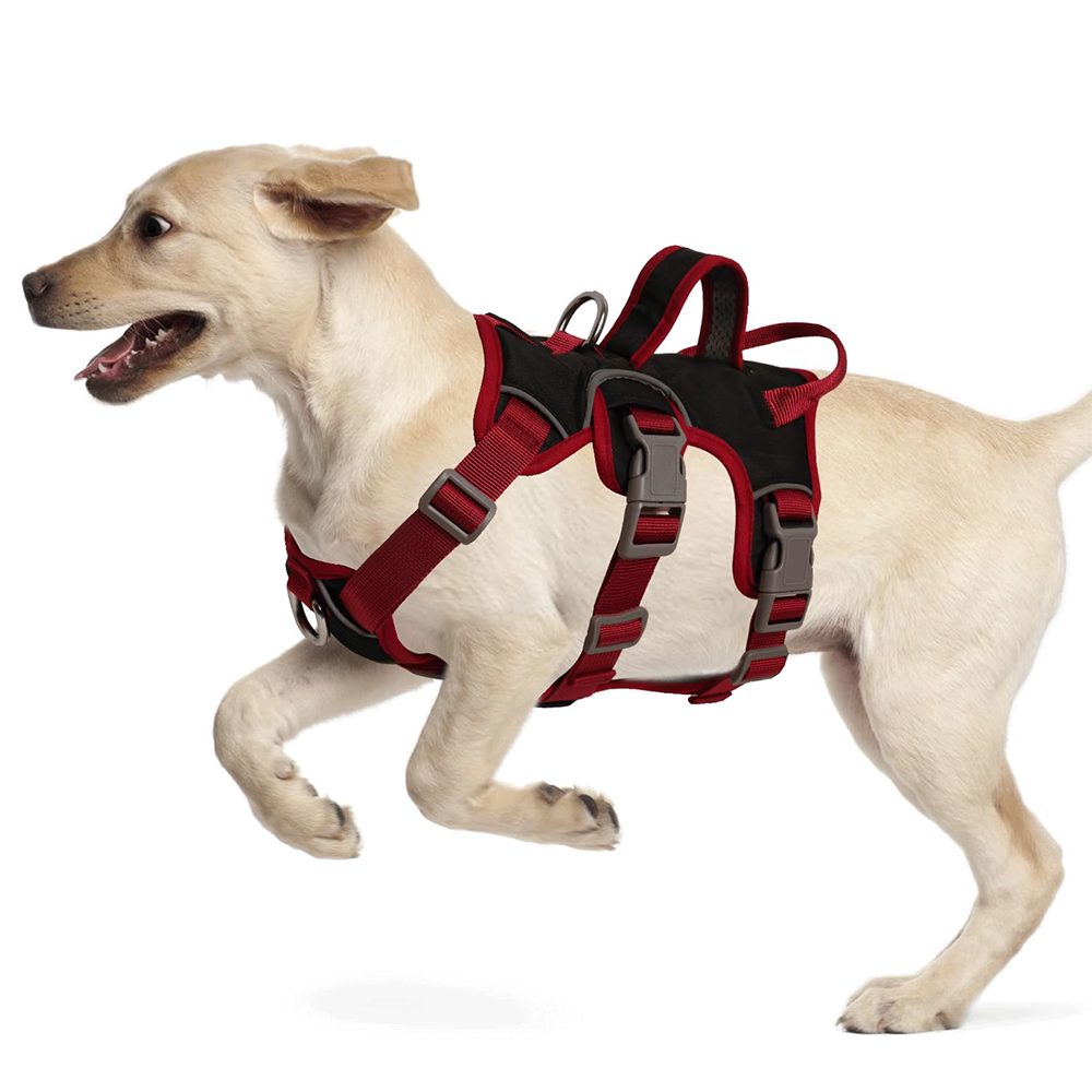 Ledander Hunde-Geschirr Hundegeschirr, reflektierendes Geschirr, verstellbares, bequem gepolstertes Alltagsgeschirr für Spaziergänge und Hunderennen