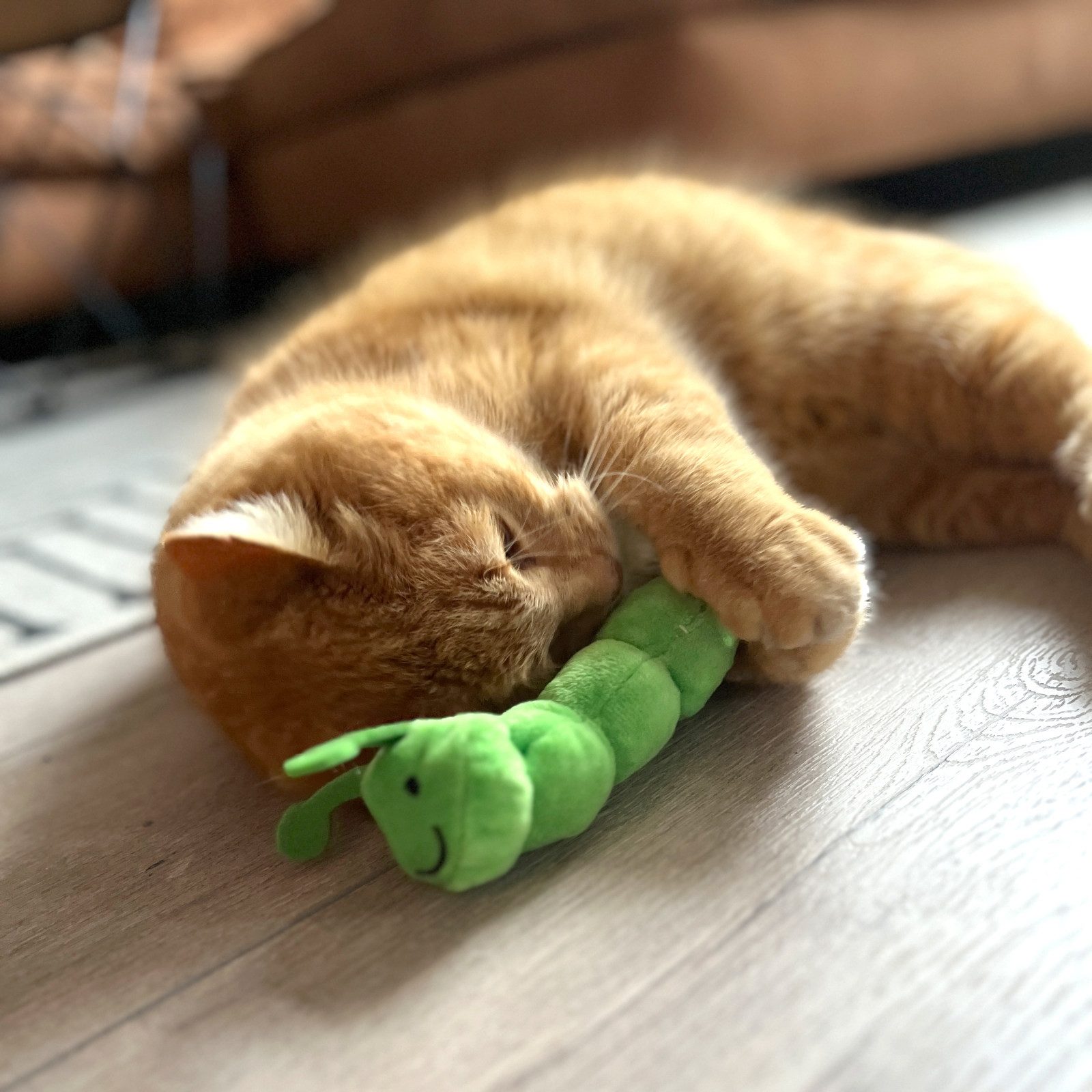 Aumüller Tierkuscheltier Katzenspielzeug Raupe Pedro, Plüschtier günstig online kaufen