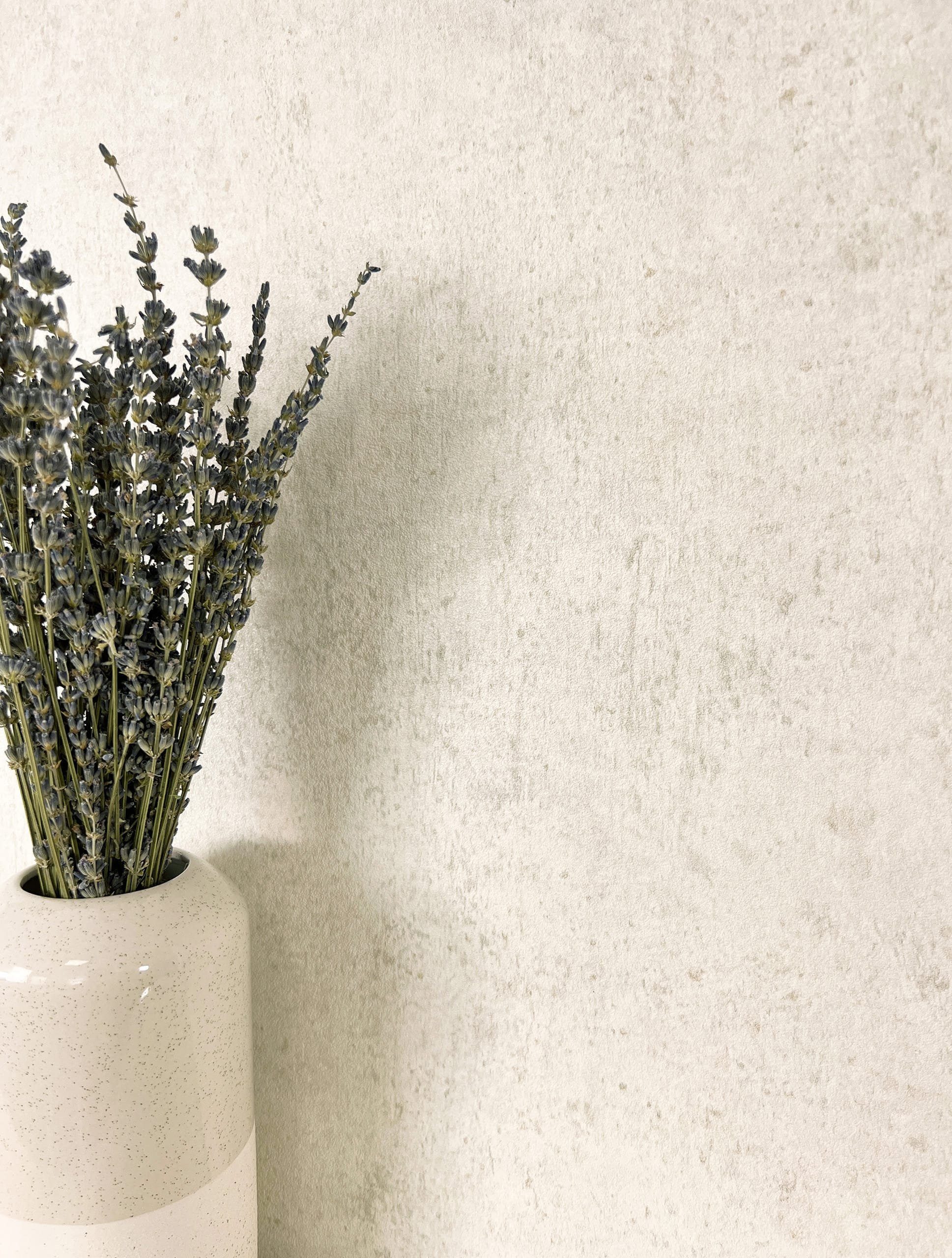 Newroom Vliestapete, Creme Tapete Modern Beton - Universal Einfarbig Weiß I günstig online kaufen