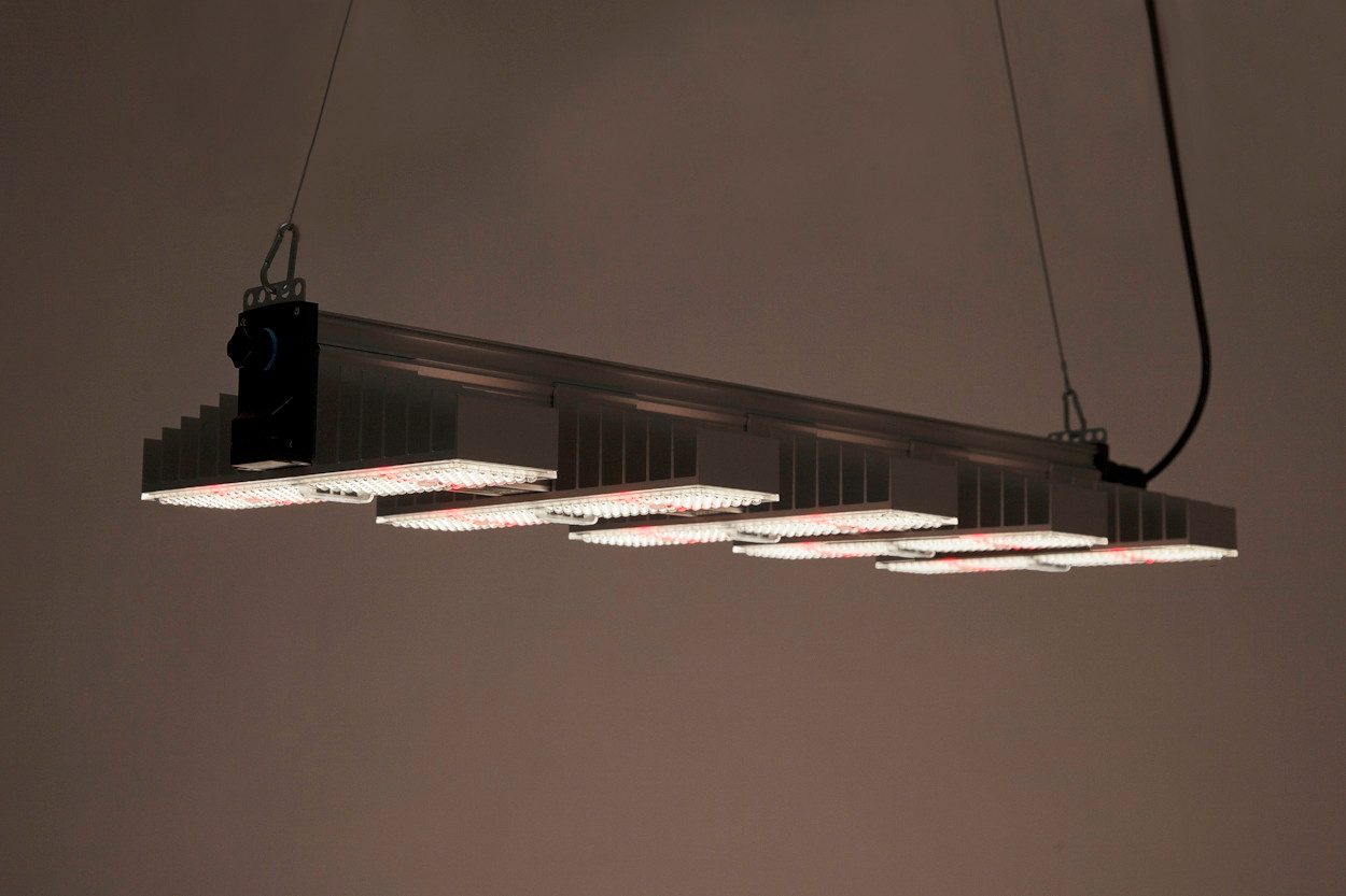 SANlight Pflanzenlampe SANlight EVO 5 1.5, LED fest integriert
