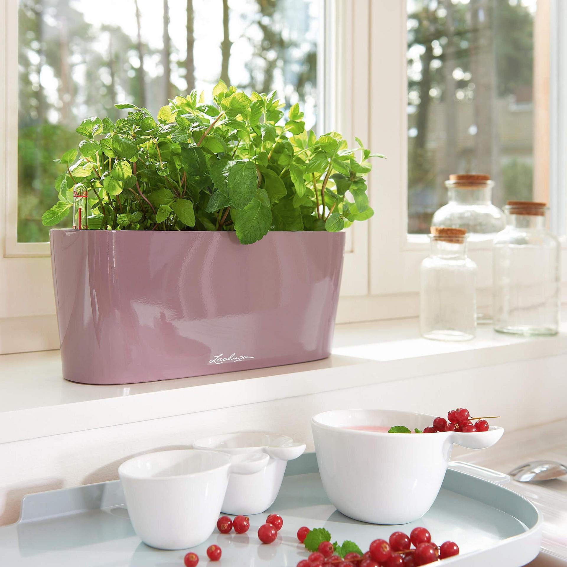 Lechuza® Blumentopf Pflanzgefäß Delta 10 anthrazit metallic