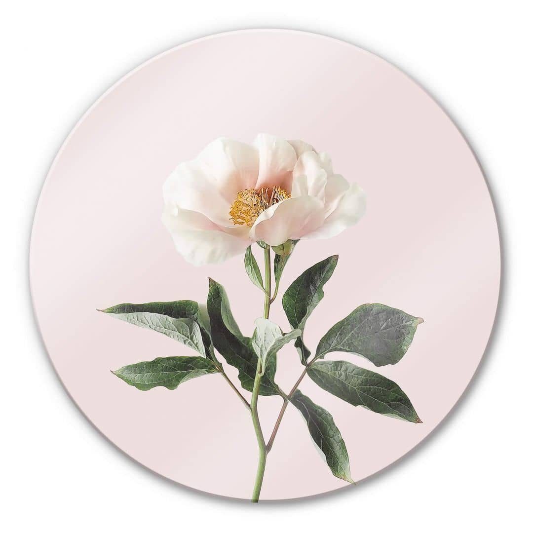 K&L Wall Art Glasbild Glas Wandbild Rund Glasbild Sisi & Seb Zarte Blume Blüte Rosa, Wandschutz Deko Bilder